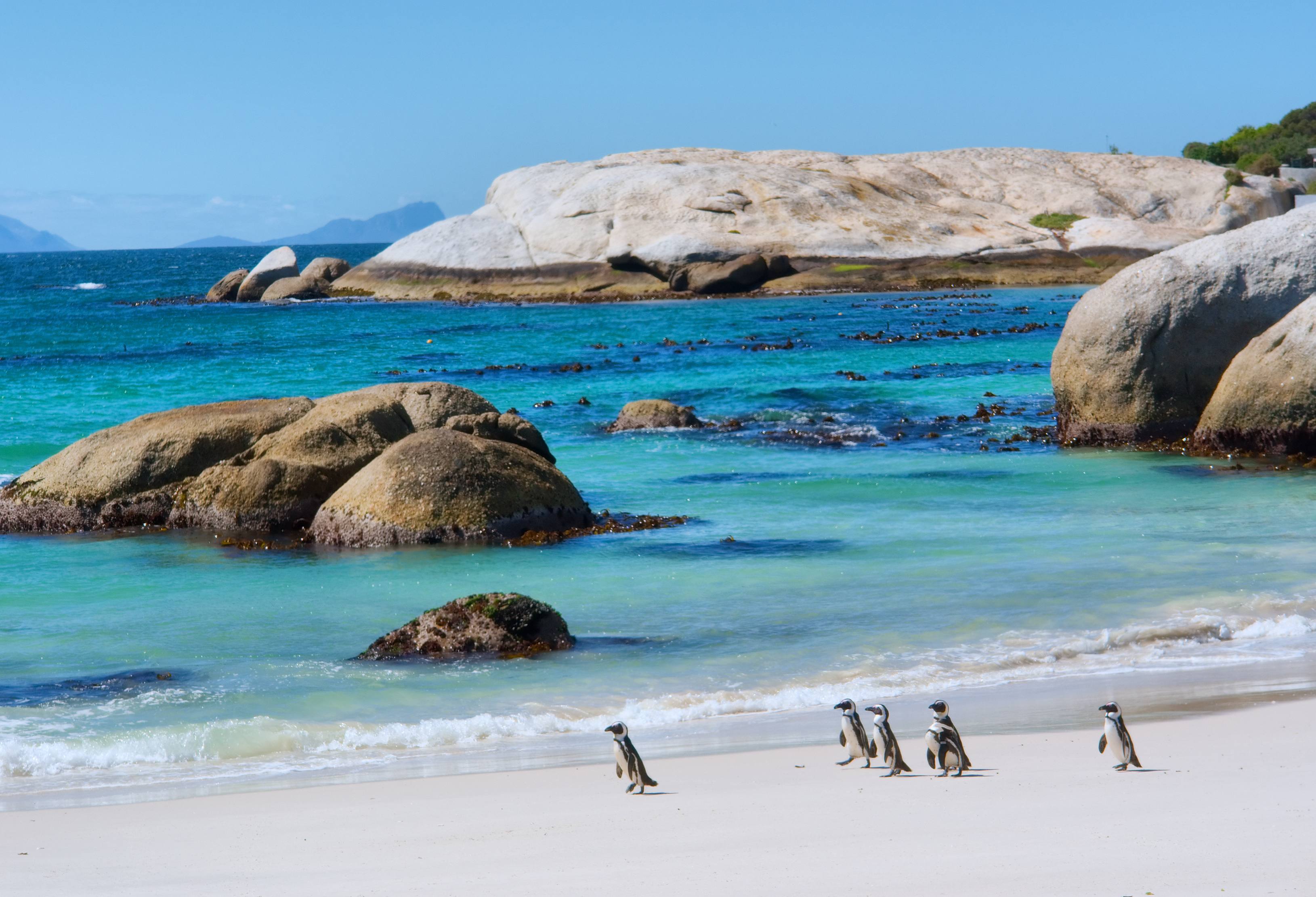 Океан на юге африки. Кейптаун Болдерс Бич. Кейптаун ЮАР океан. Клифтон Бич Кейптаун. ЮАР Кейптаун пляж.