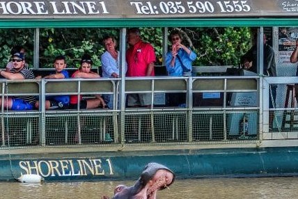 Boottocht nijlpaarden in St. Lucia Zuid-Afrika