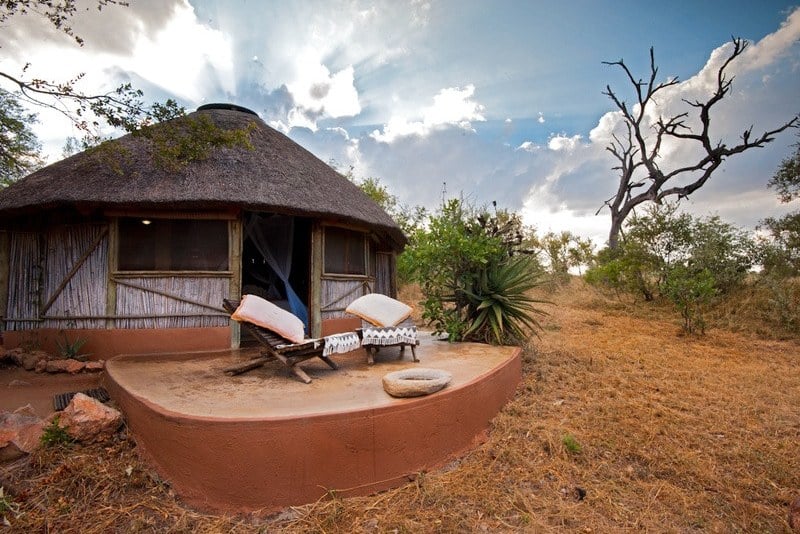 Umlani Bush Camp Timbavati Zuid-Afrika