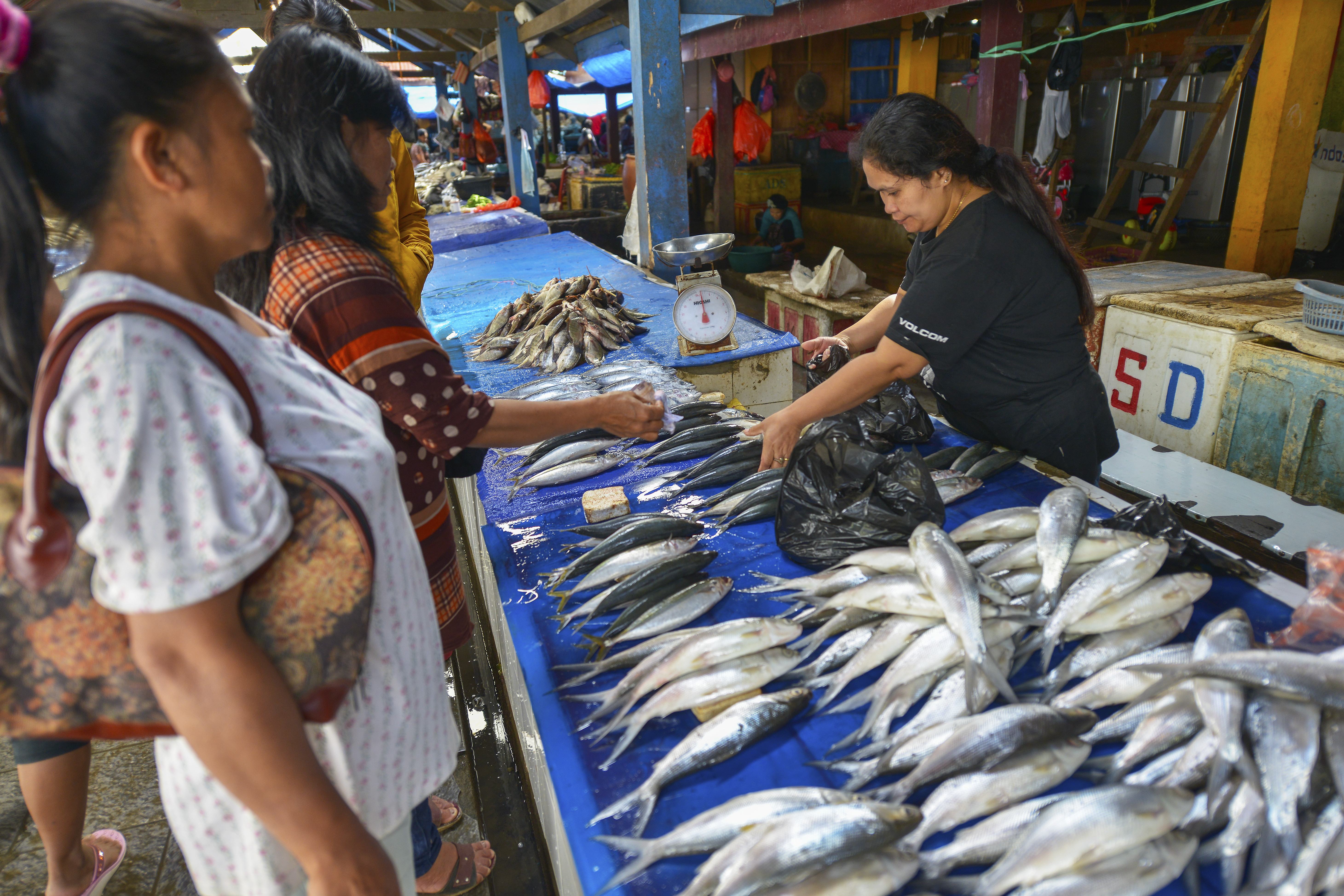 Lokale vismarkt in Toraja Hoogland