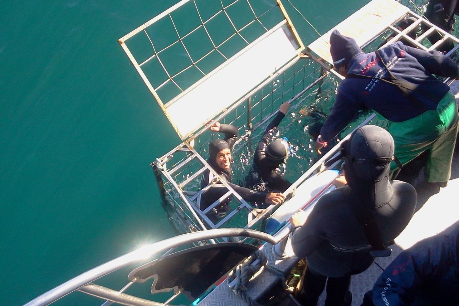 Haai kooi duiken Gansbaai Zuid-Afrika