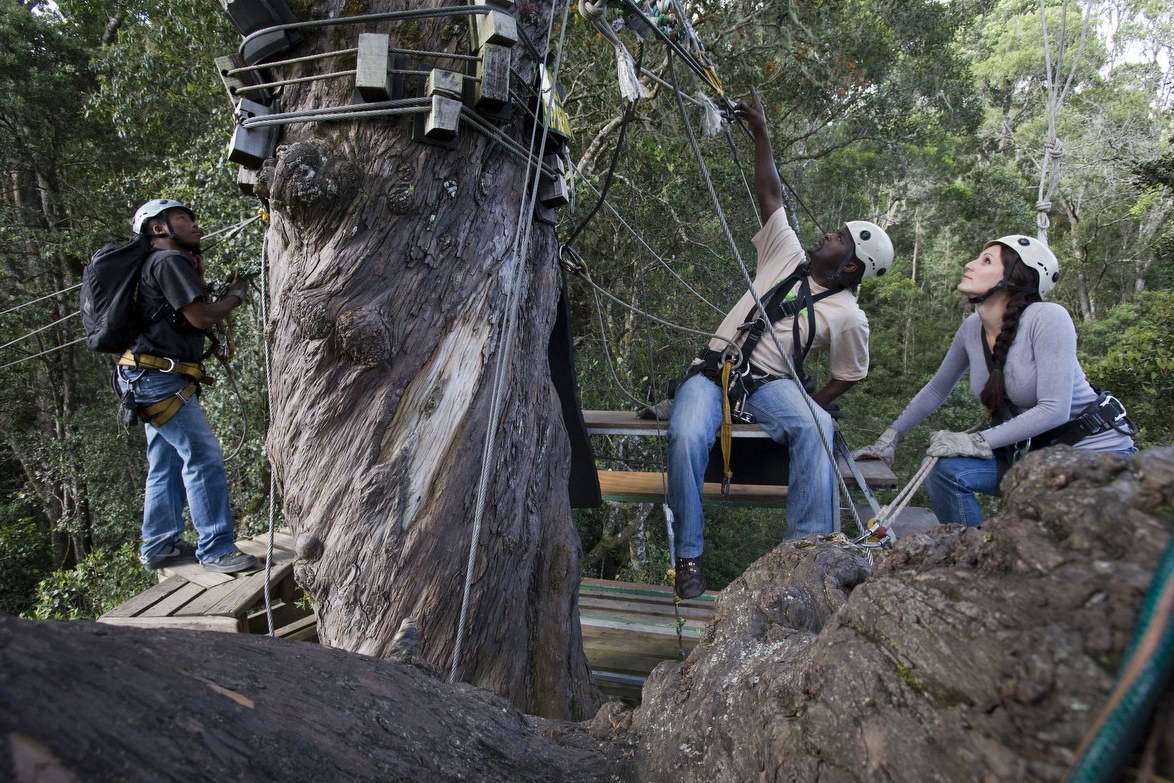 Canopy Tour in Tsitsikamma Zuid-Afrika