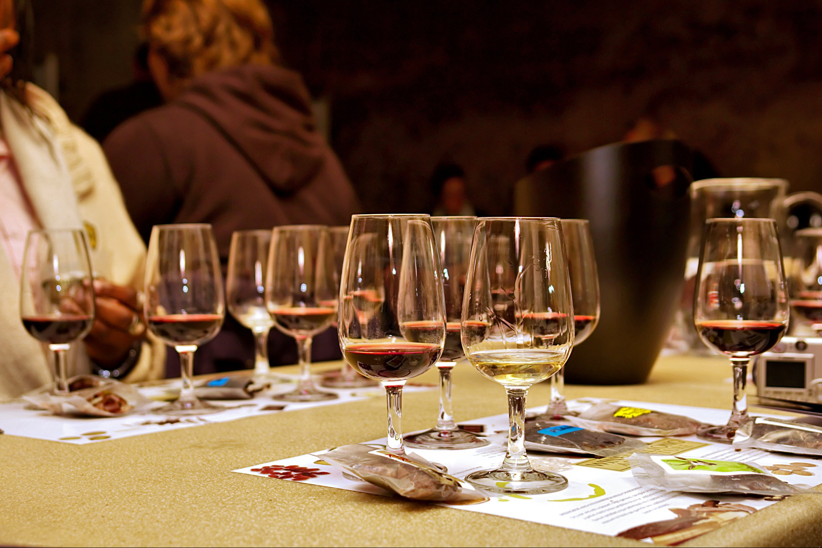 Wijnproeverij wijnregio Kaapstad Zuid-Afrika