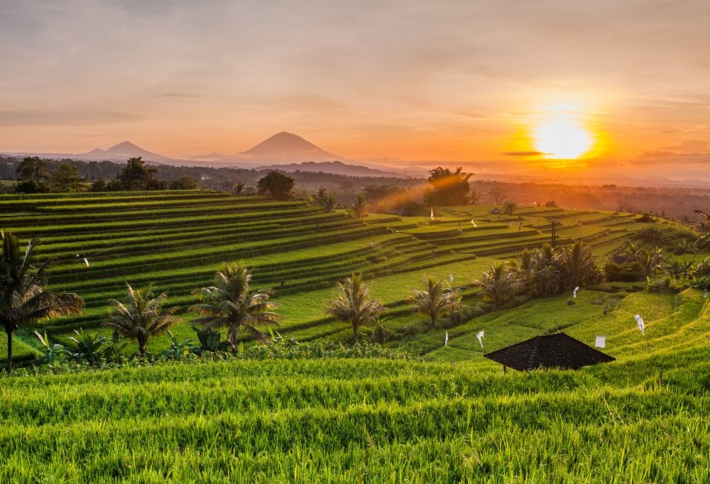 Bali - Gili Explorer