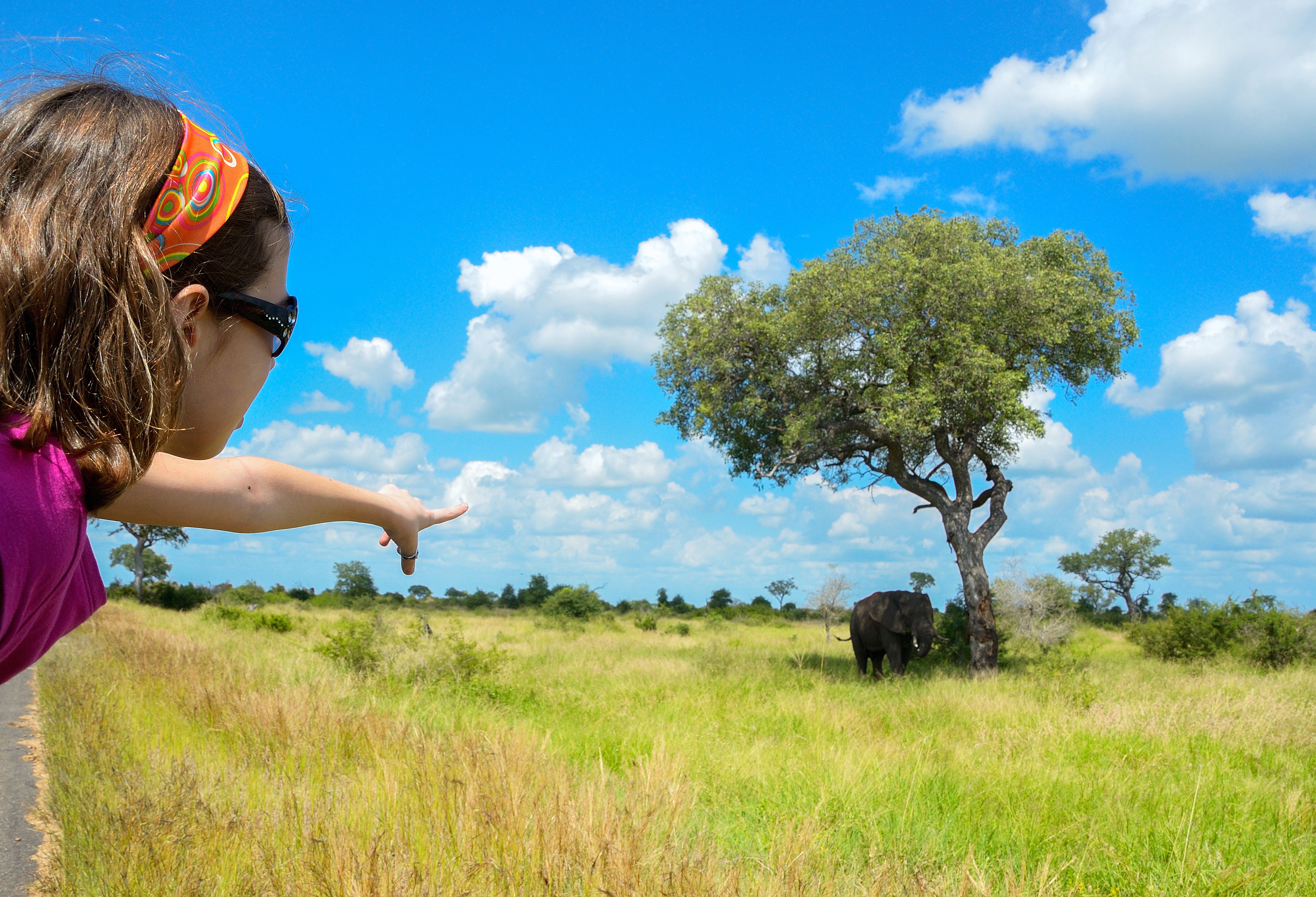 Game Drive Zuid-Afrika