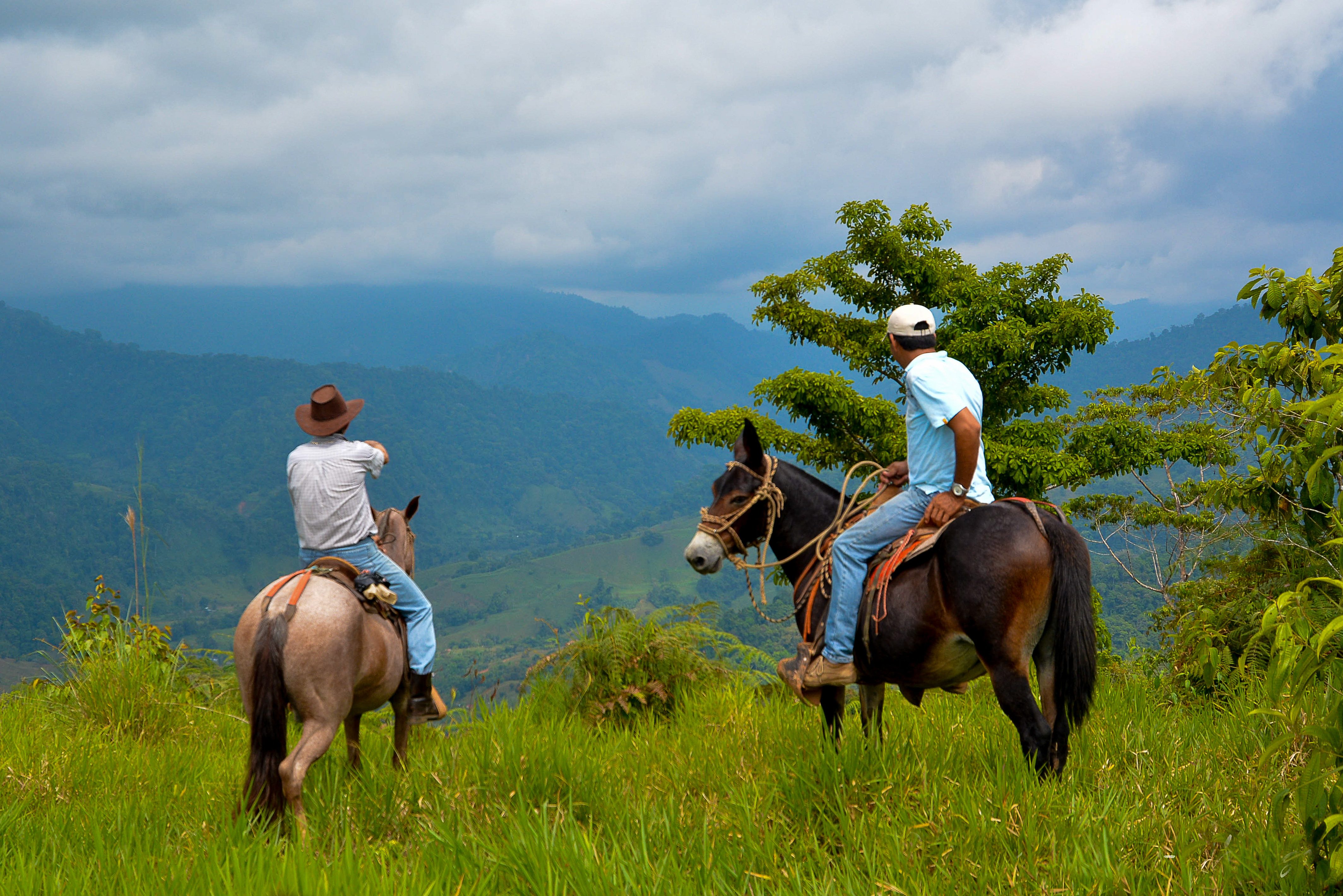 Stout Bruidegom Veronderstelling Tour Costa Rica - Paardrijden bij Arenal - 333travel