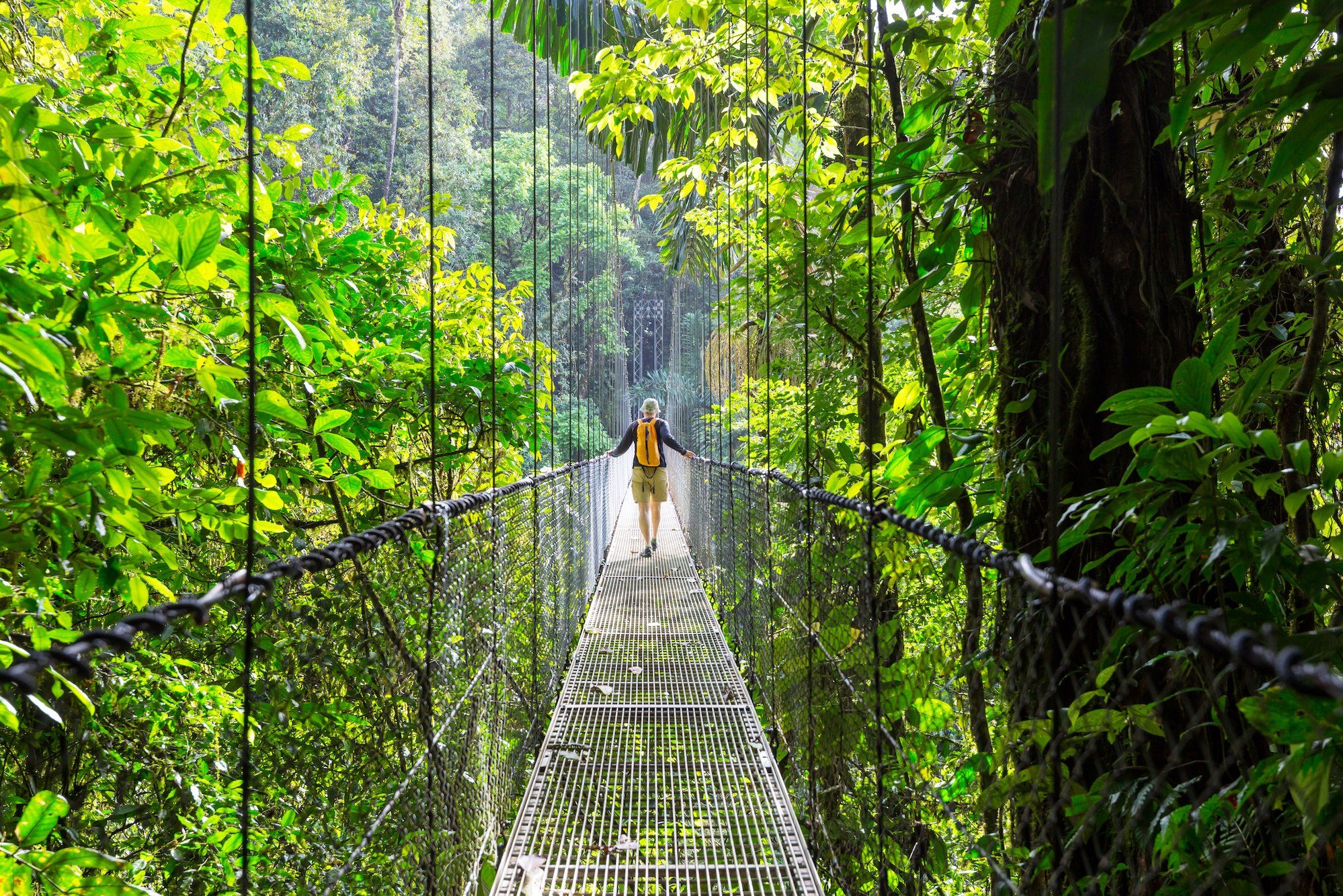 Hangbruggen bij Arenal in Costa Rica