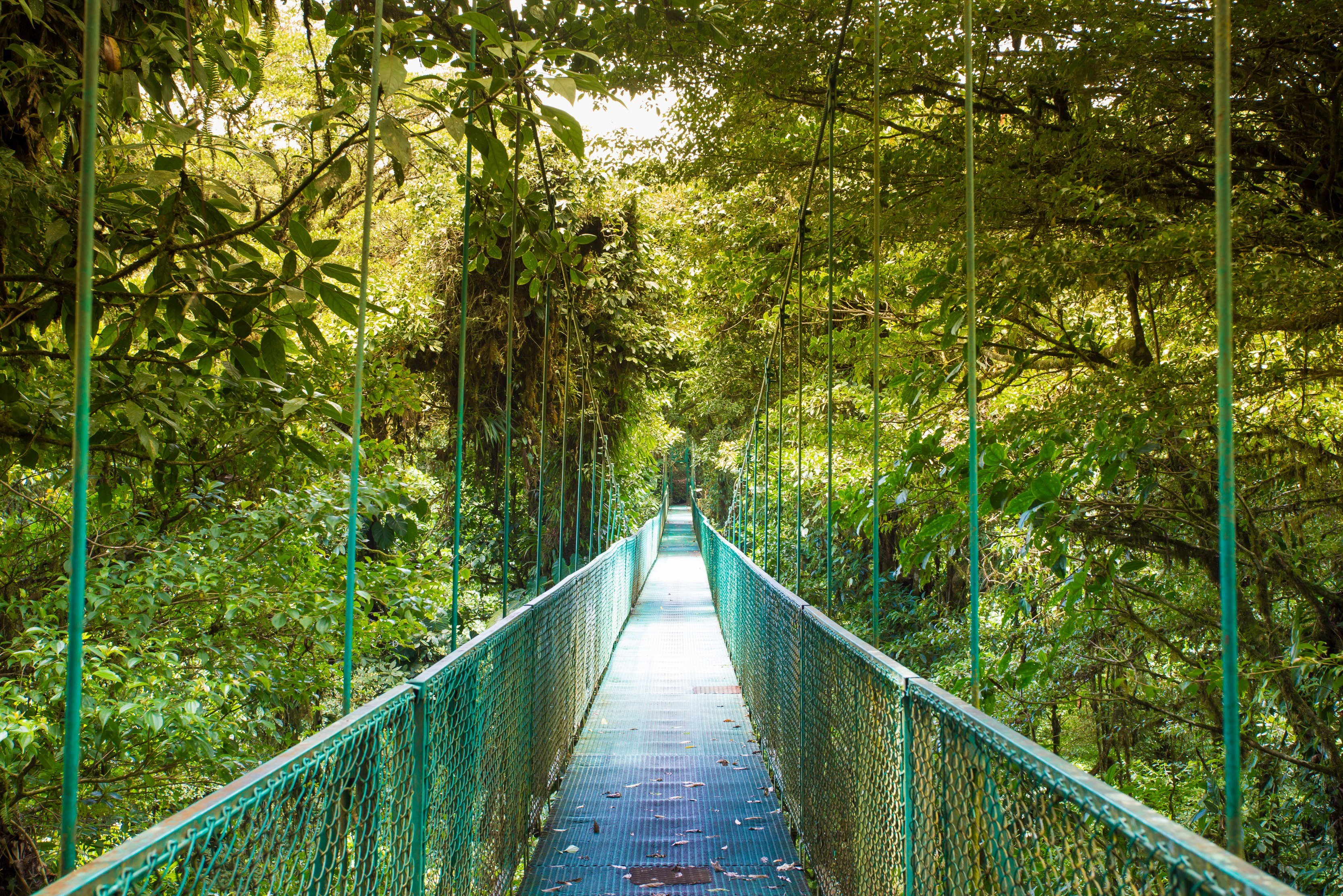 Hangbrug bij Arenal Mistico in Costa Rica