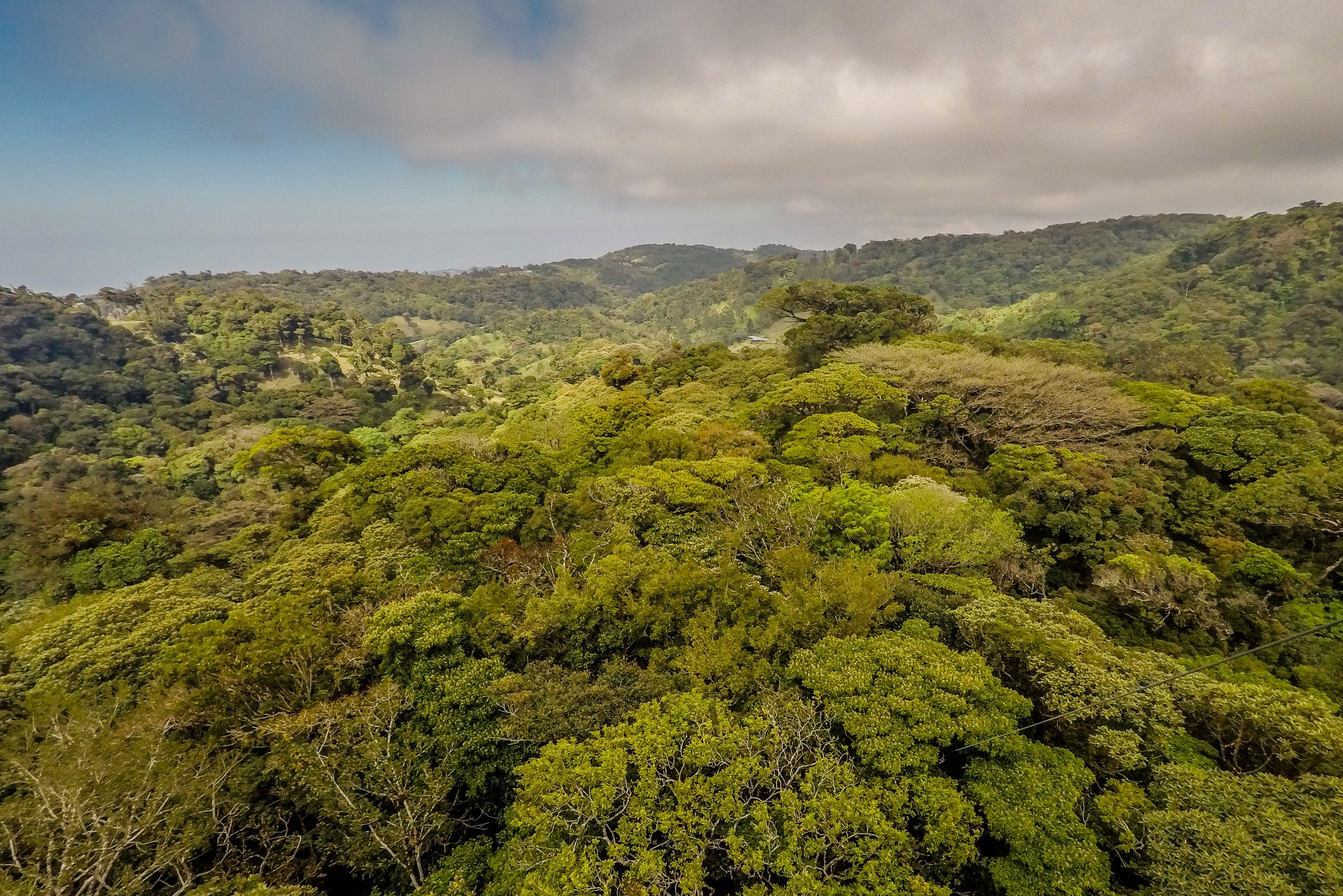 Monteverde in Costa Rica