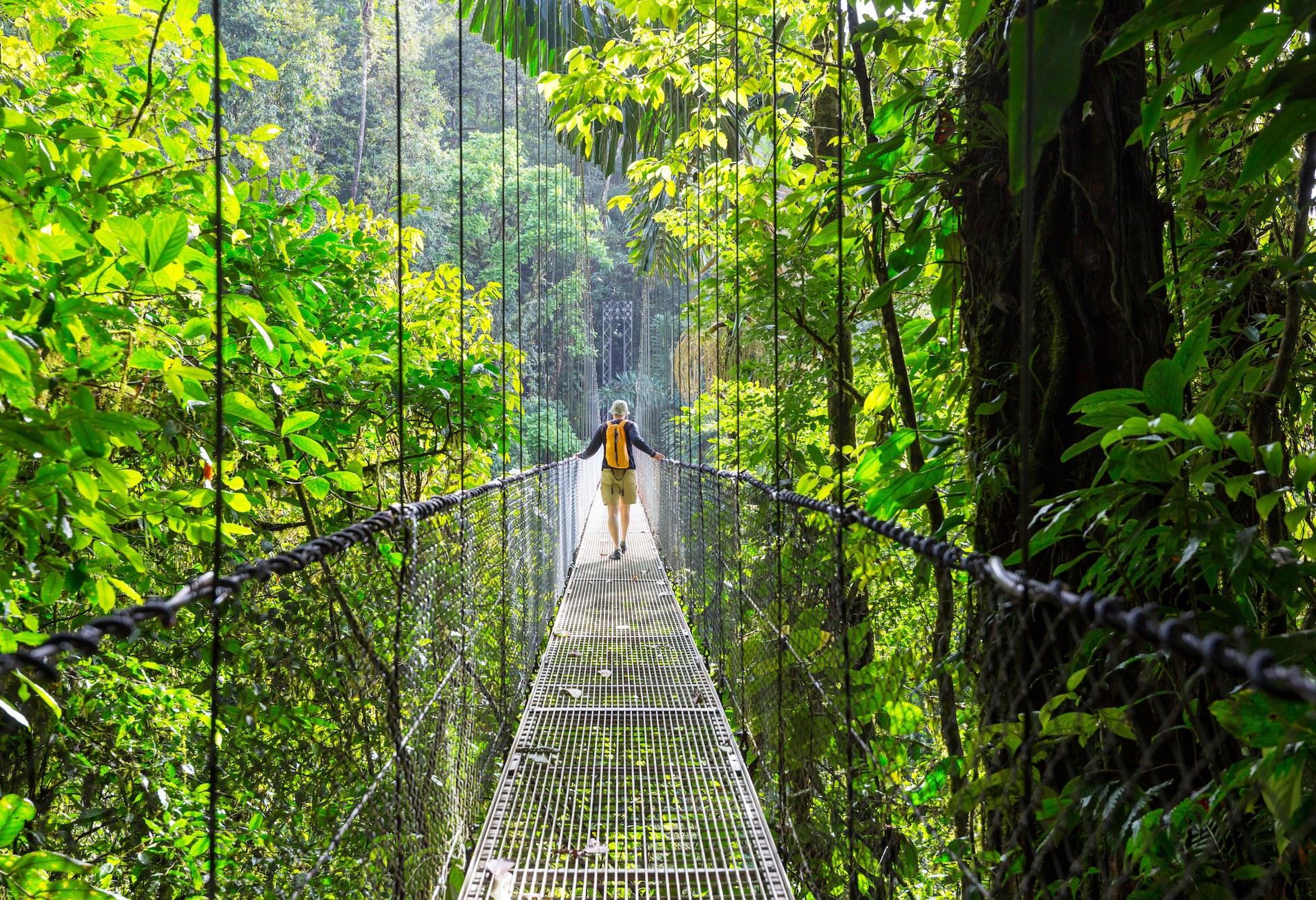 Hangbruggen bij Arenal in Costa Rica