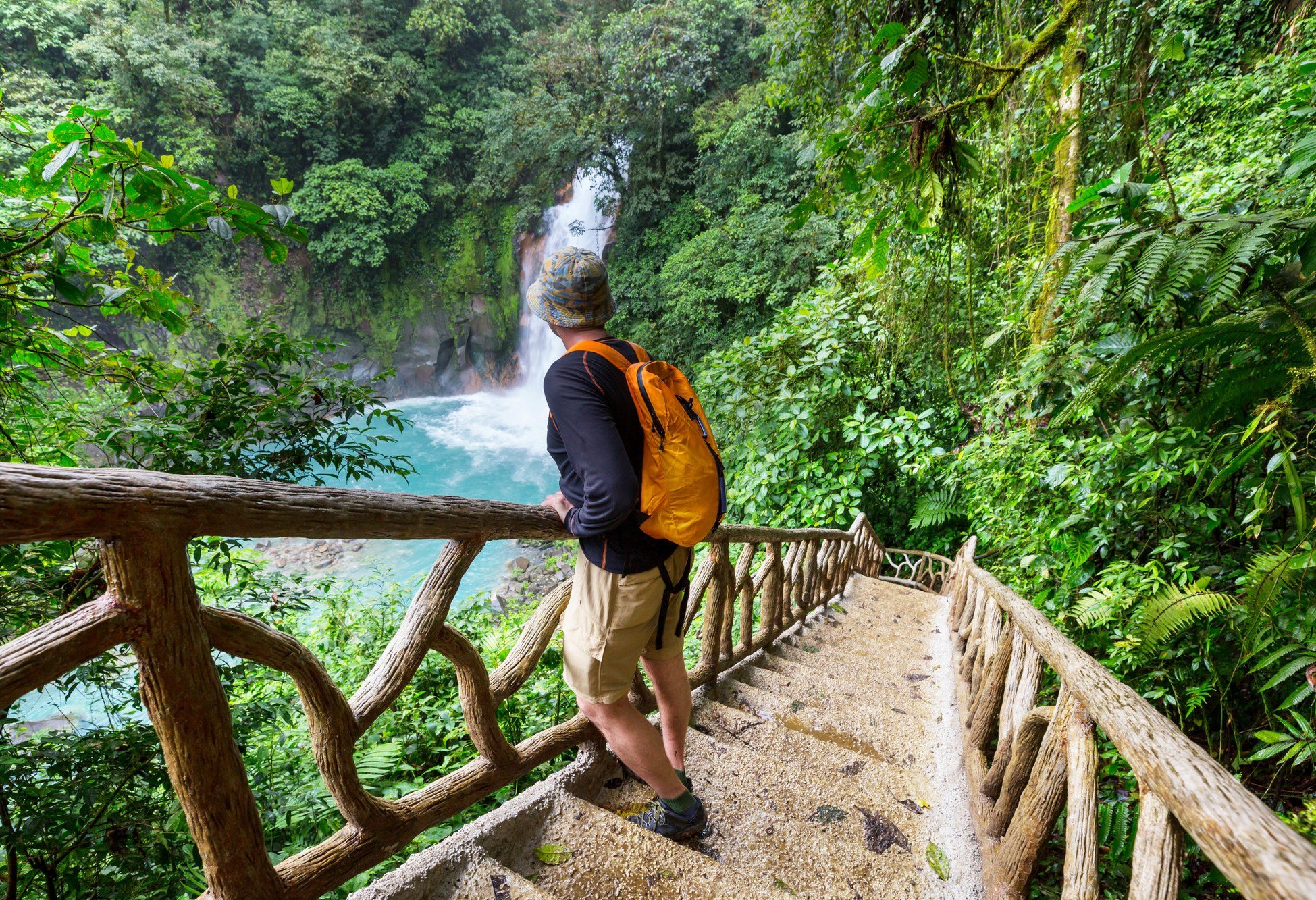 Wandelen in de jungle in Costa Rica