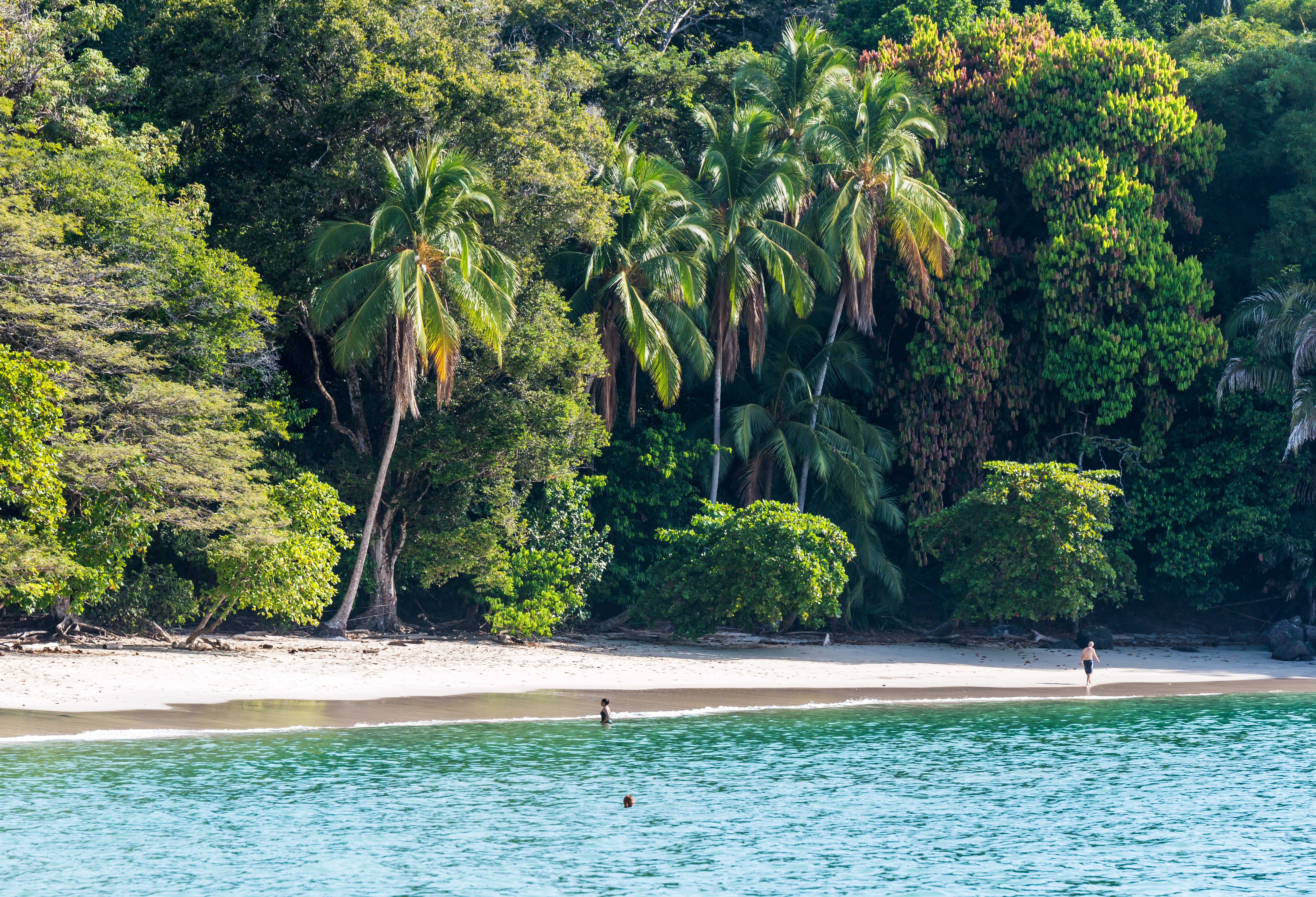 Jungle strand Costa Rica