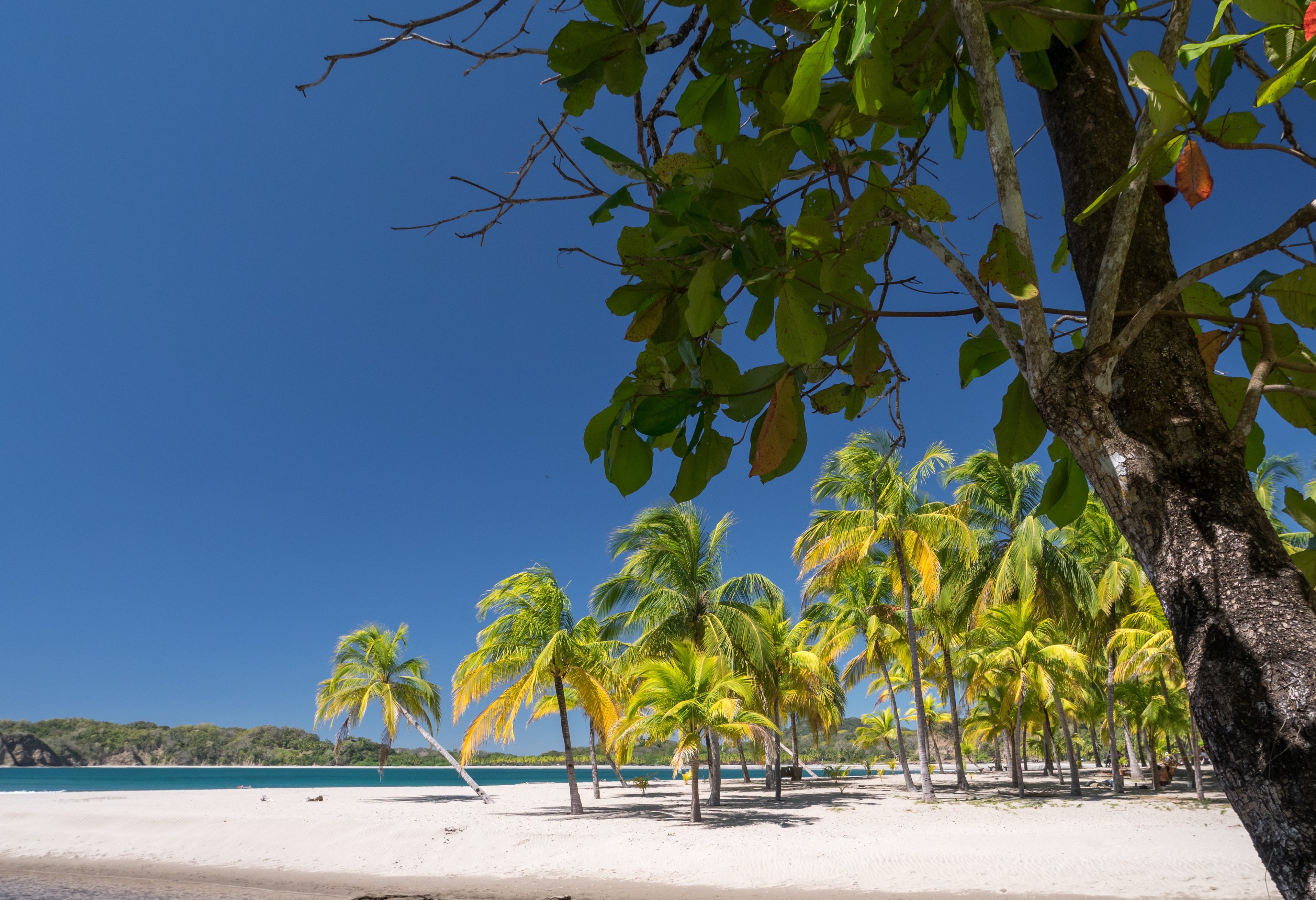 Playa Carrillio in Costa Rica