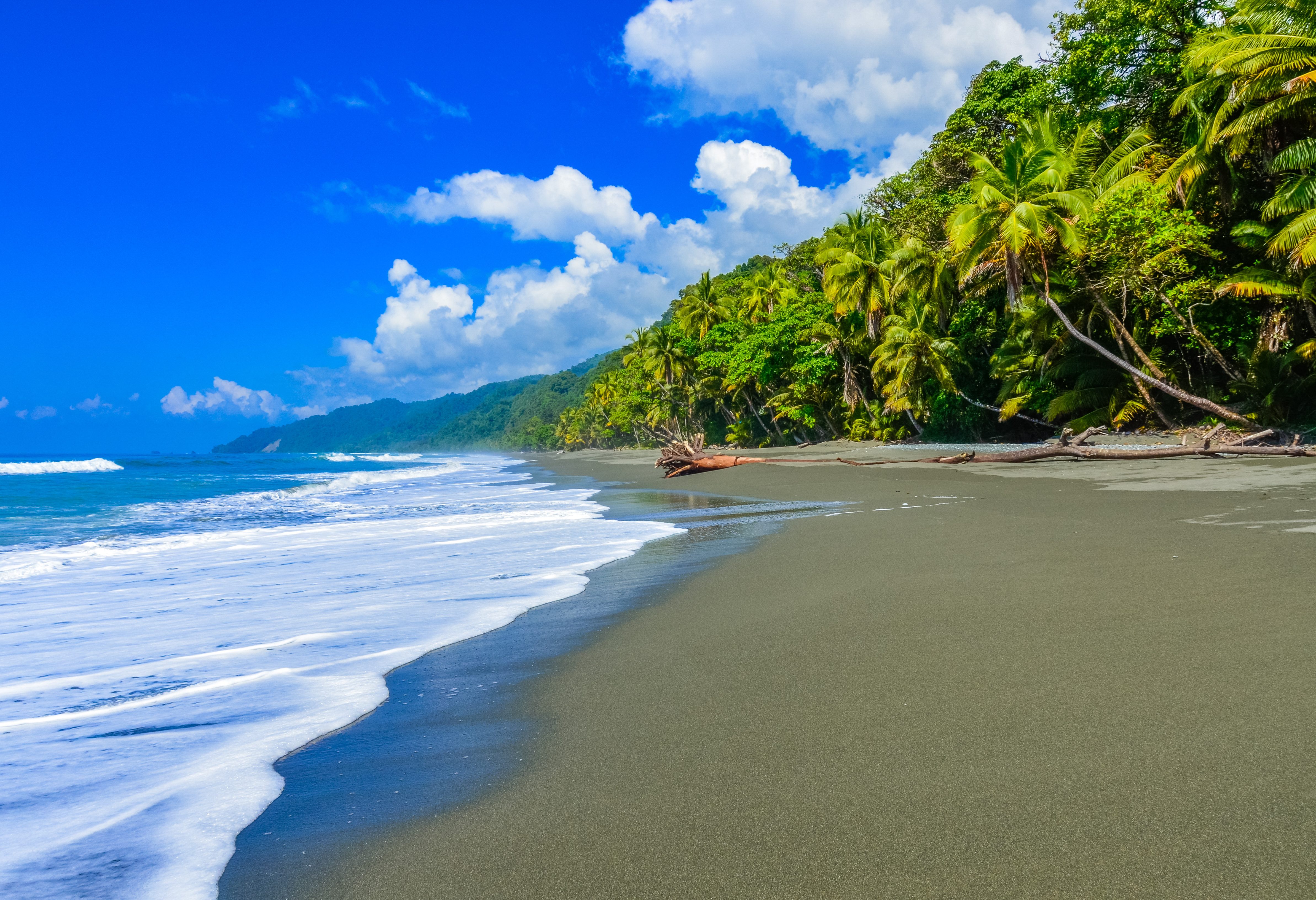 Corcovado jungle strand in Costa Rica