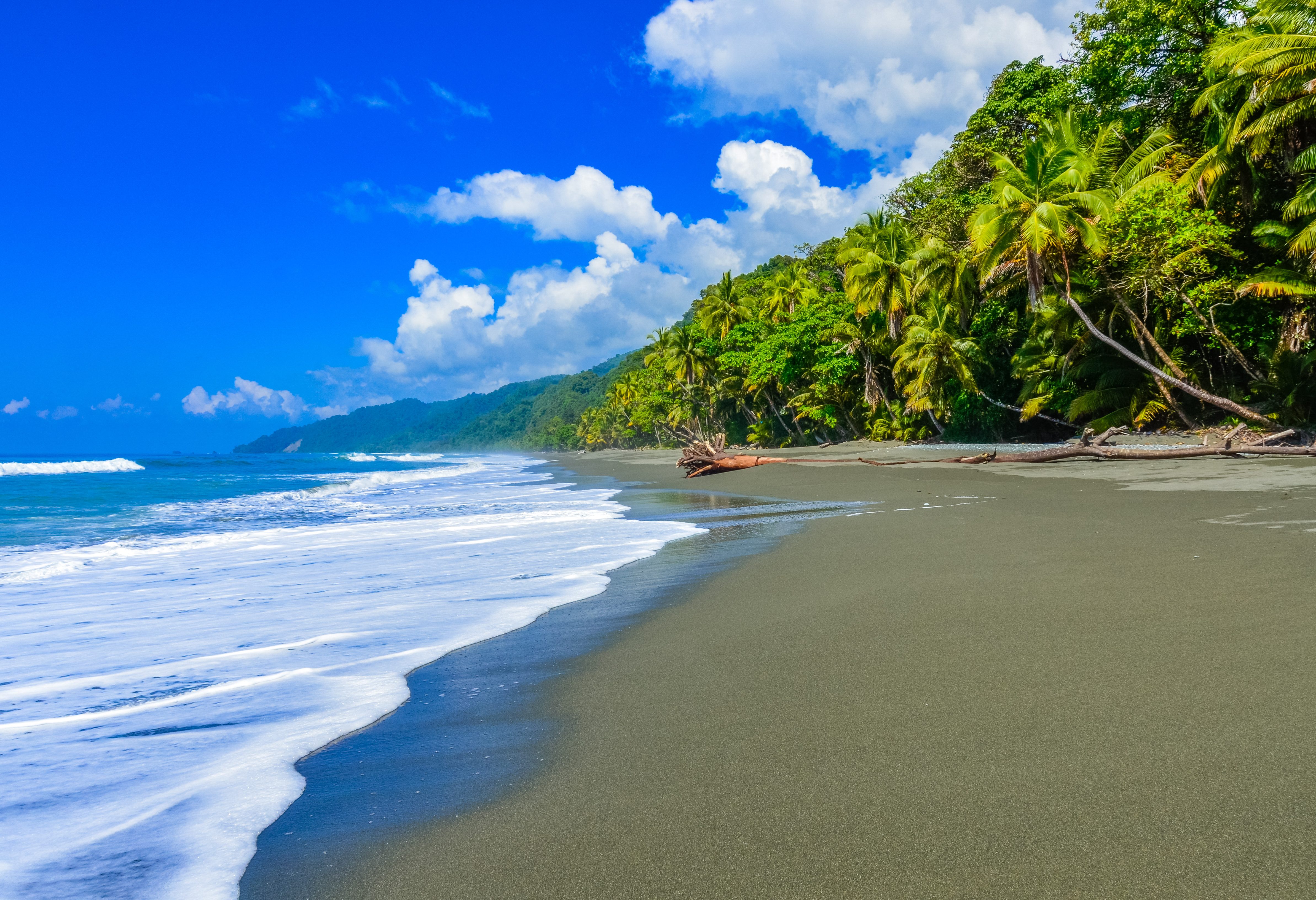 Jungle strand bij Corcovado NP in Costa Rica