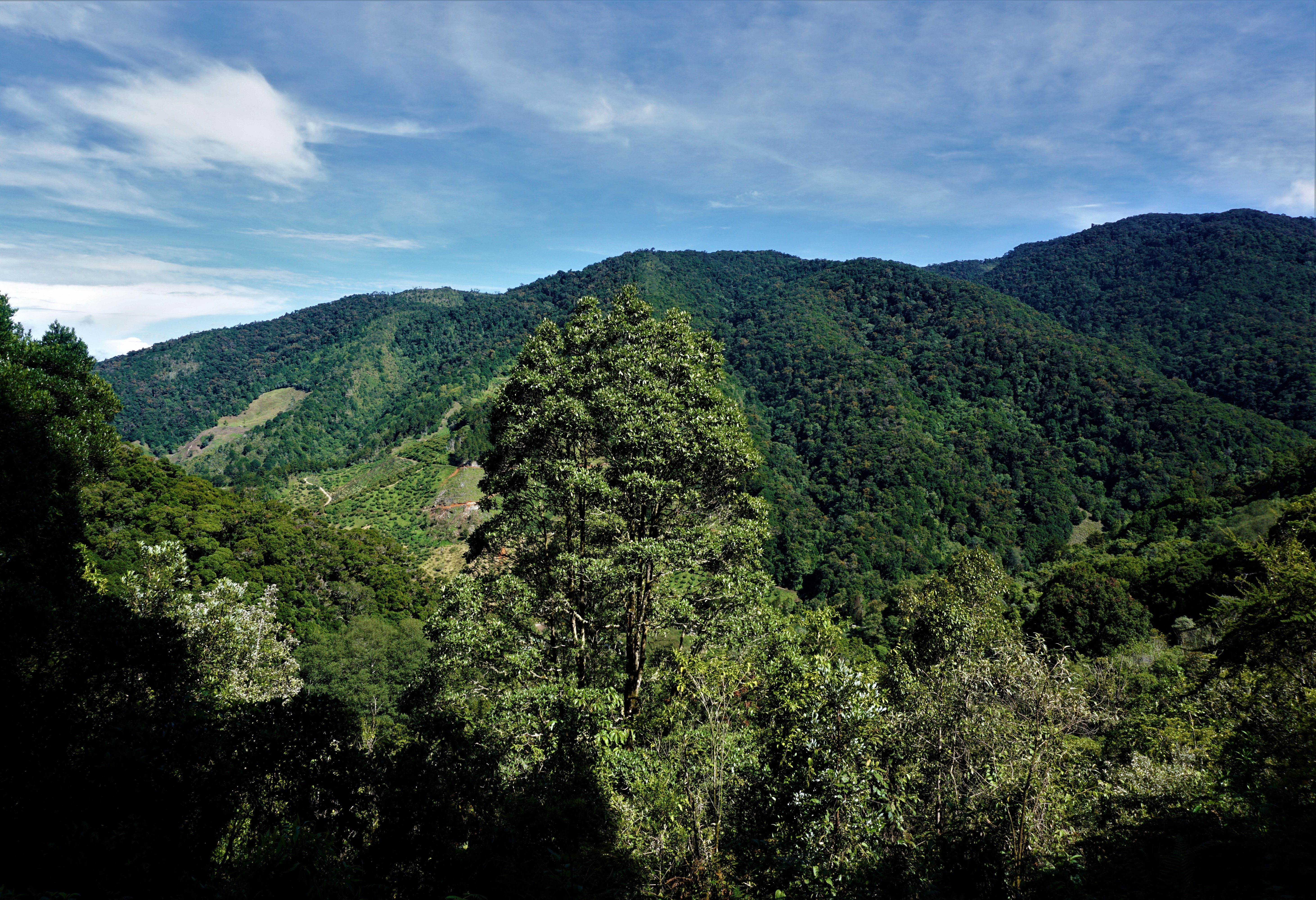 San Gerardo de Dota in Costa Rica