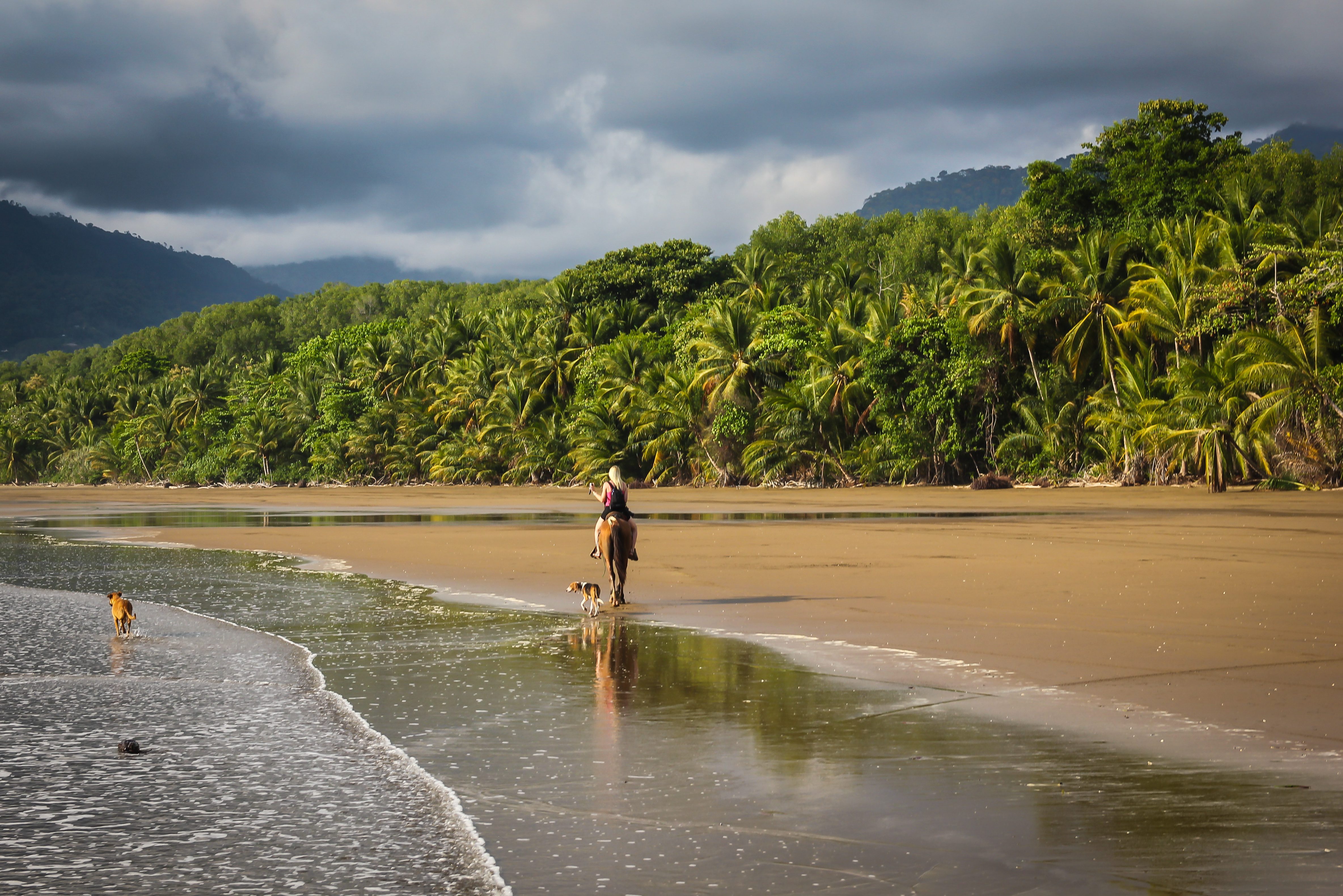 Paardrijden bij Uvita in Costa Rica