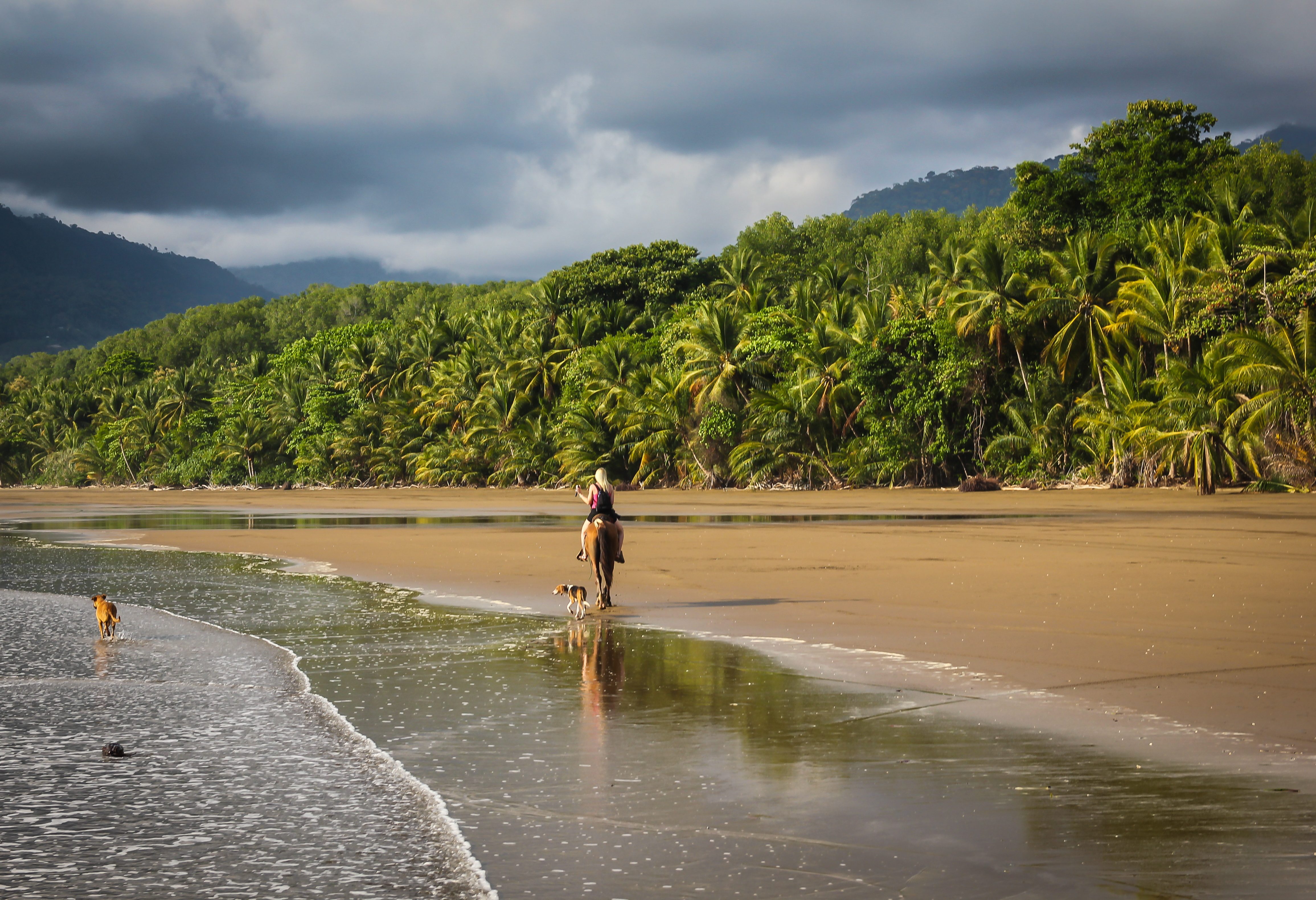 Paardrijden bij Uvita in Costa Rica