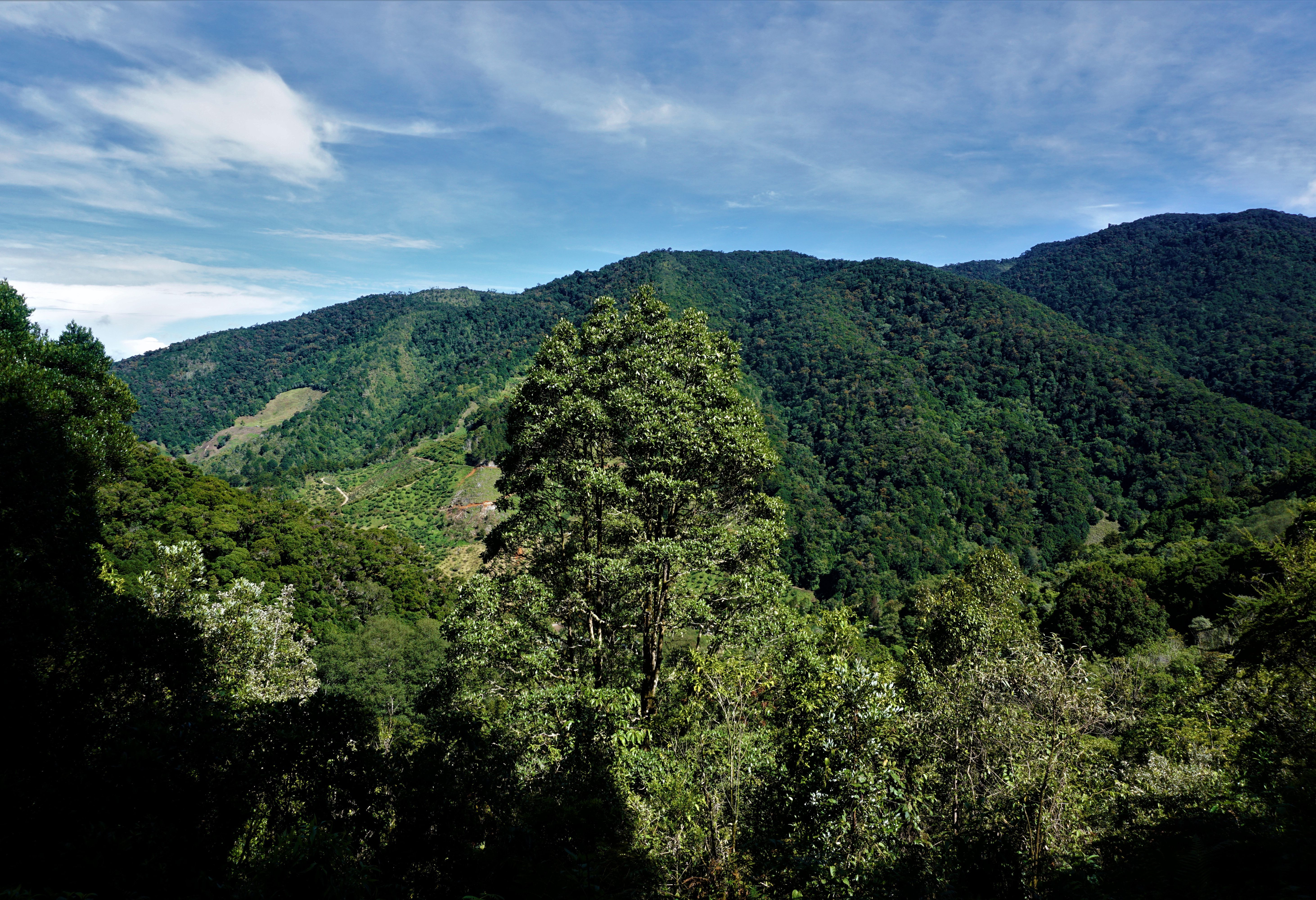San Gerado de Dota in Costa Rica