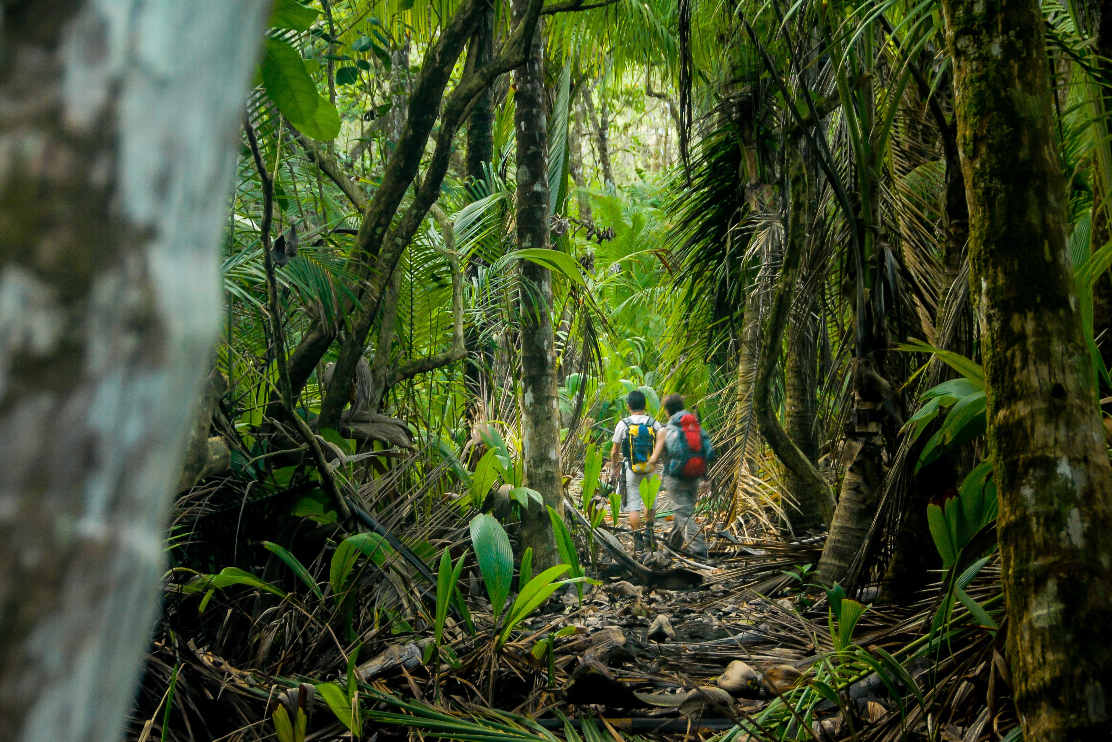 Hiken in Corcovado National Park in Costa Rica