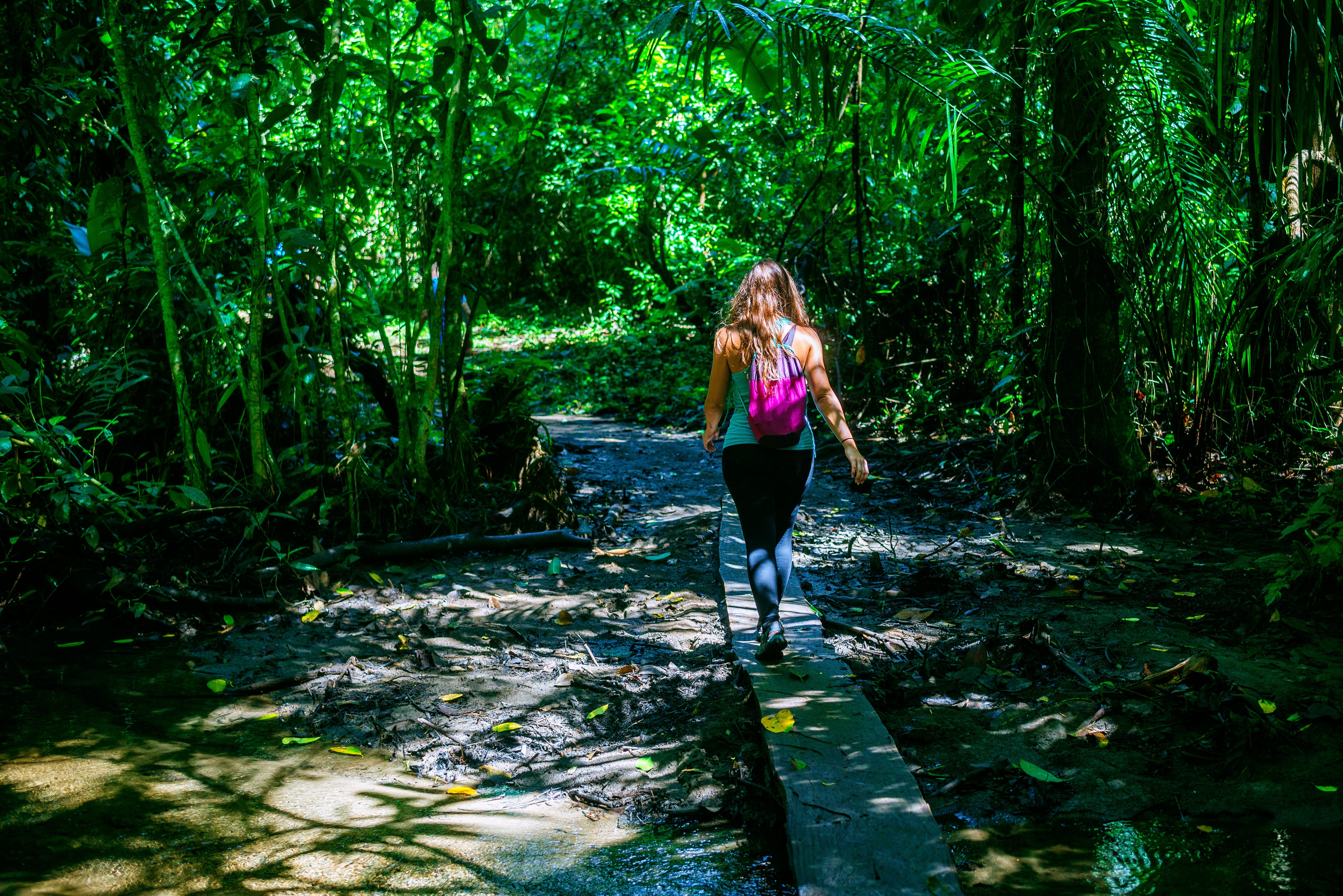 Hiken in Corcovado National Park in Costa Rica