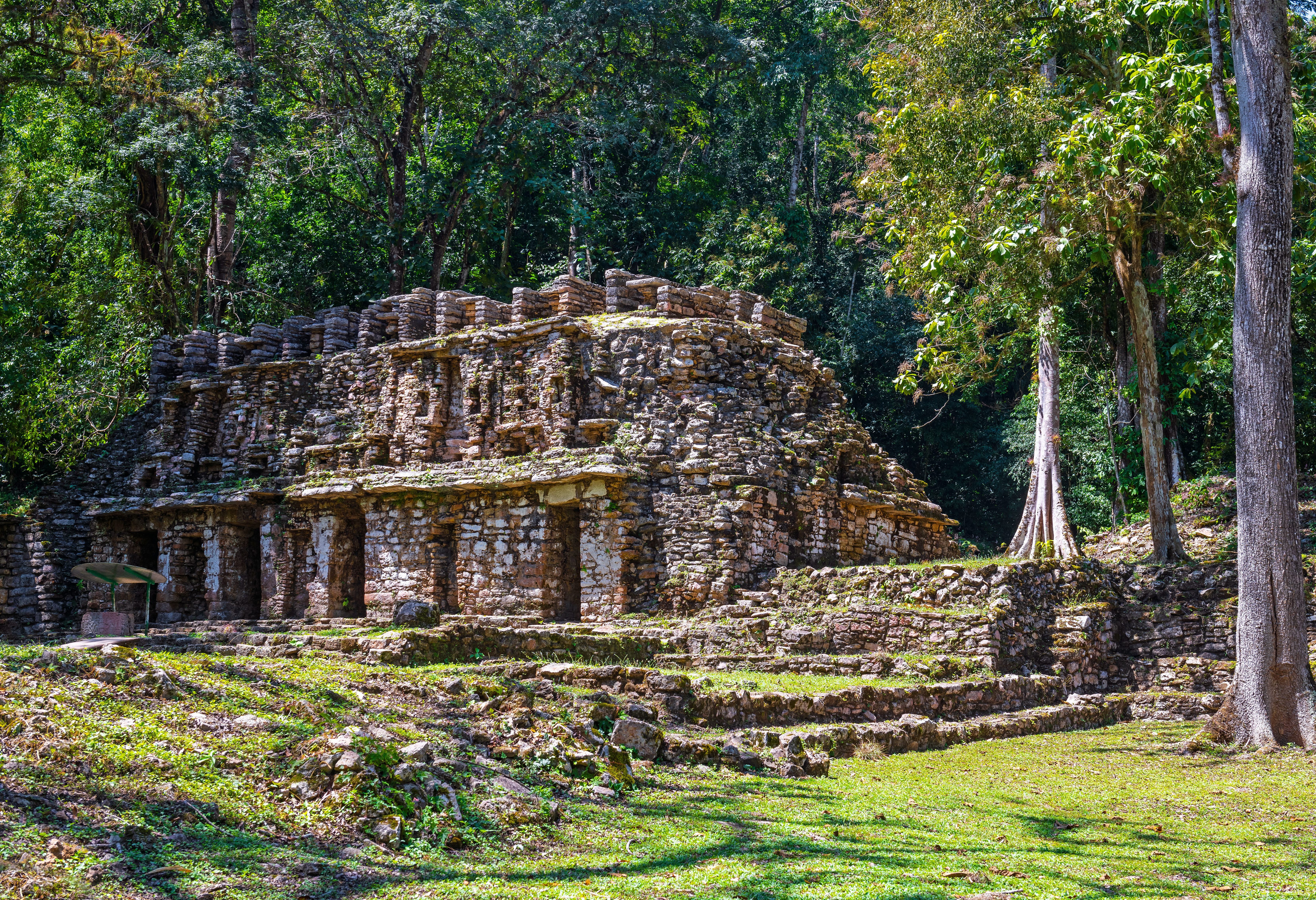mexico-chiapas-yaxchilan-maya-stad-ruines-in-de-jungle-vlakbij-palenque