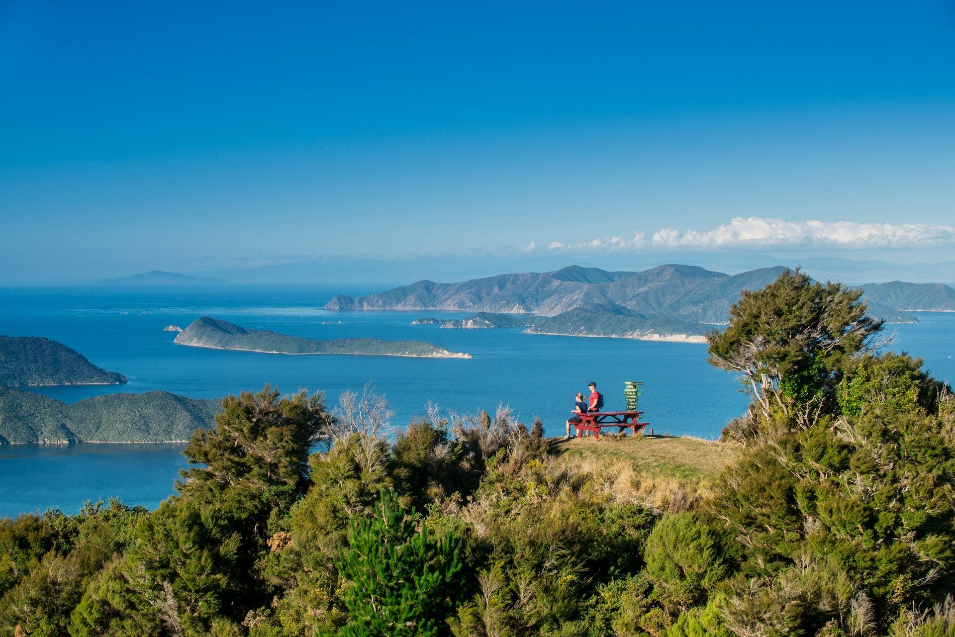Queen Charlotte Track uitzichtpunt Marlborough Sounds
