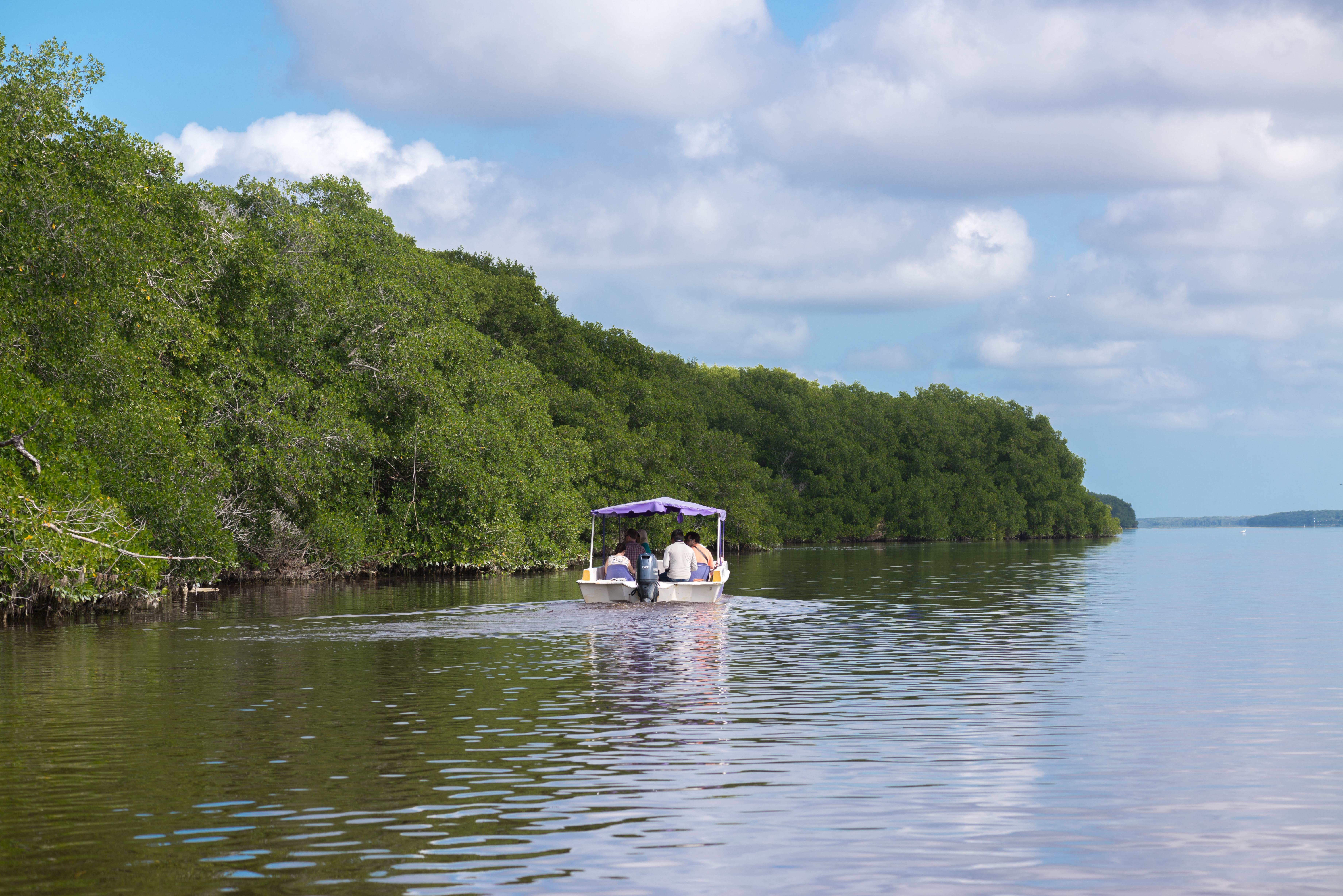 Celestun National Park boottocht op zoek naar flamingos