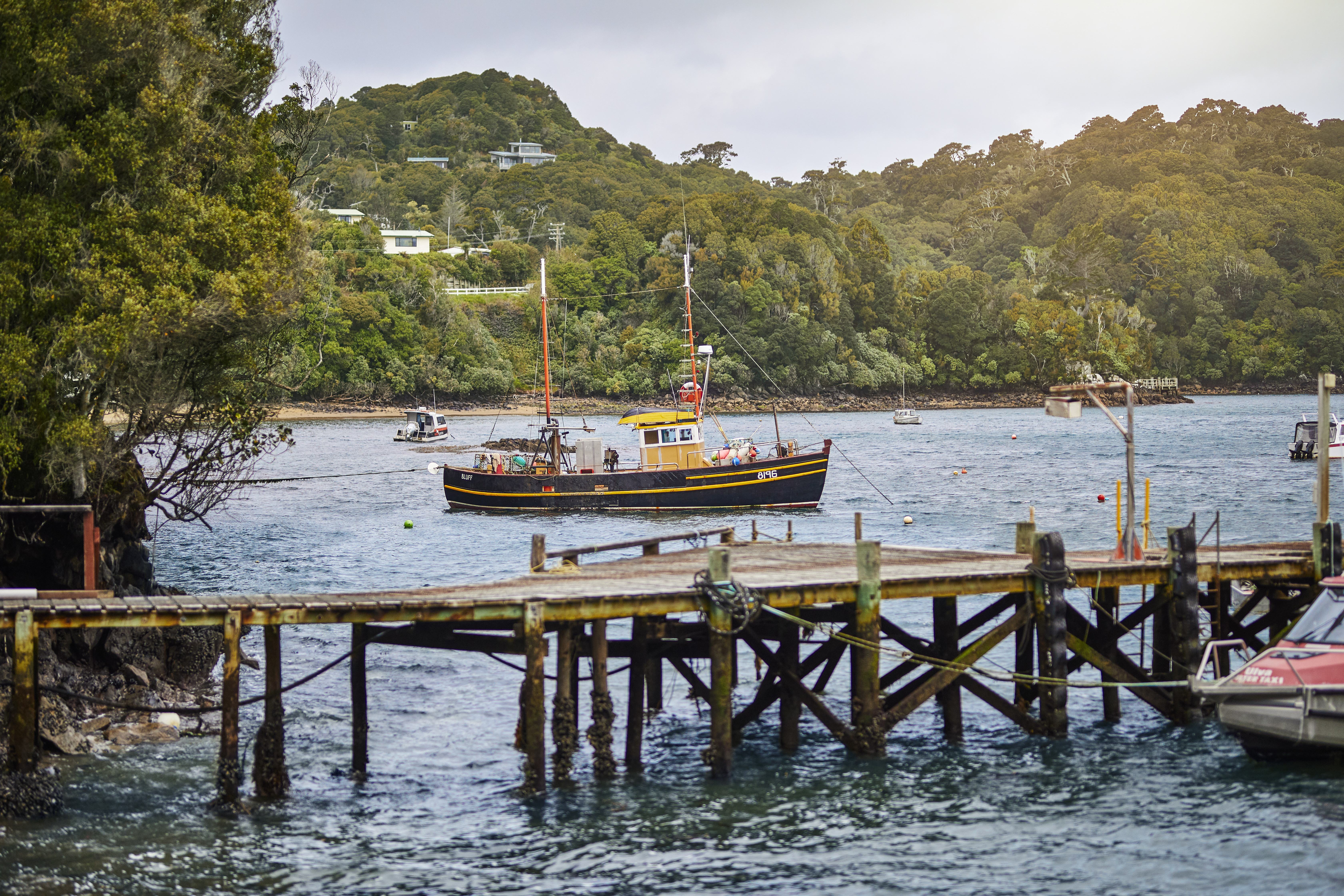 Stewart Island Nieuw Zeeland