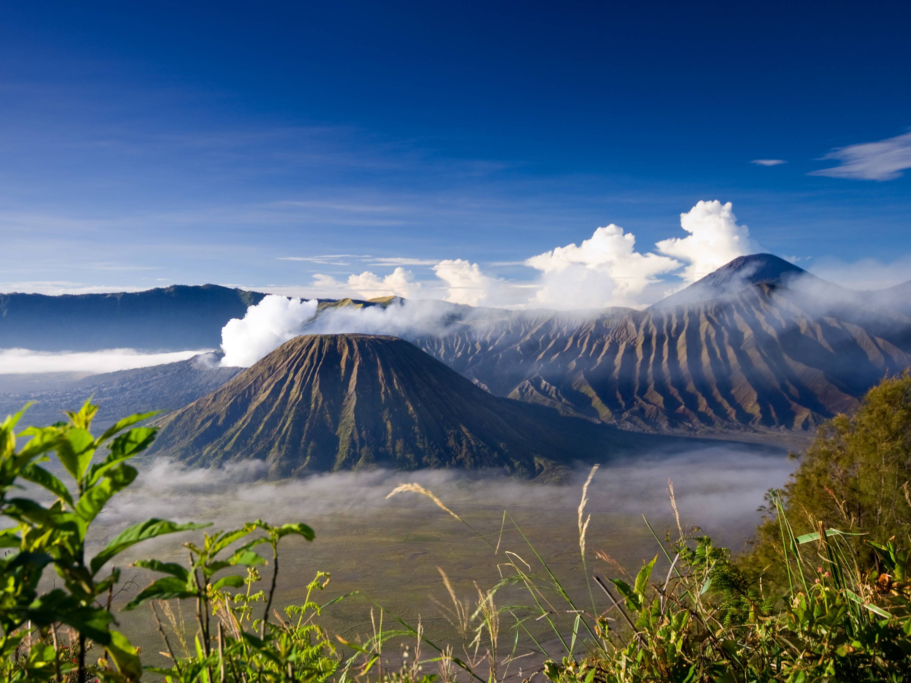 bromo