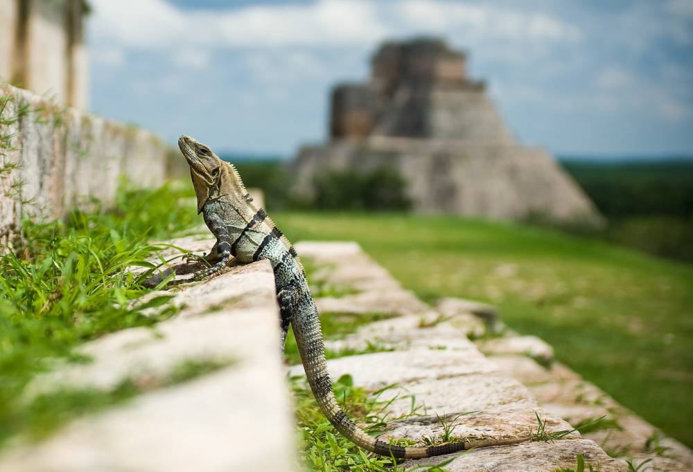 Highlights Yucatán &amp; Chiapas