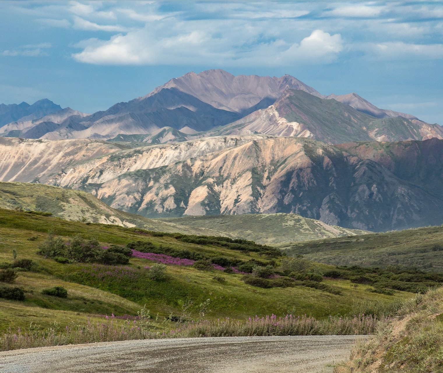 Denali National Park Alaska