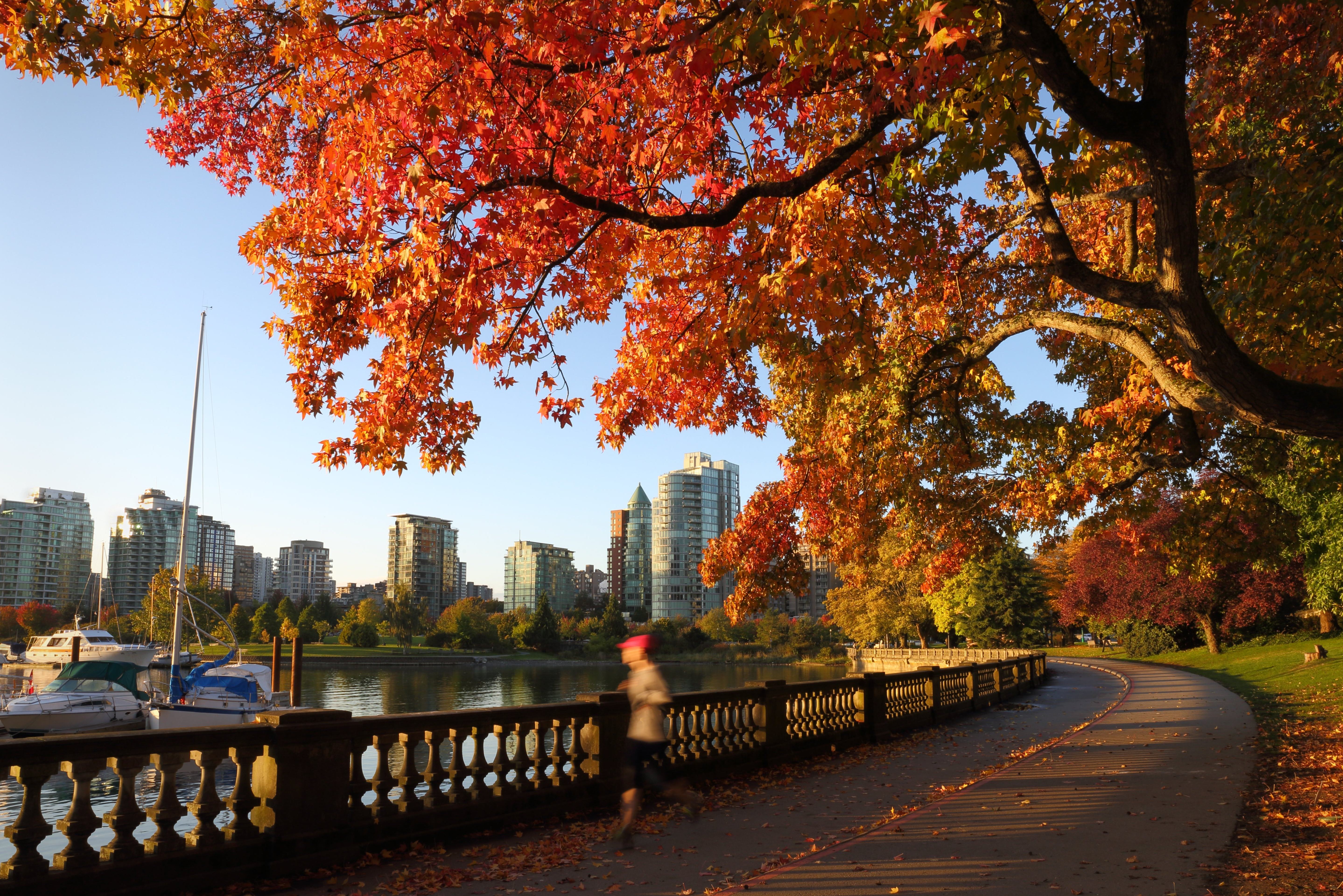 canada-vancouver-wandelen-in-stanley-park-indian-summer