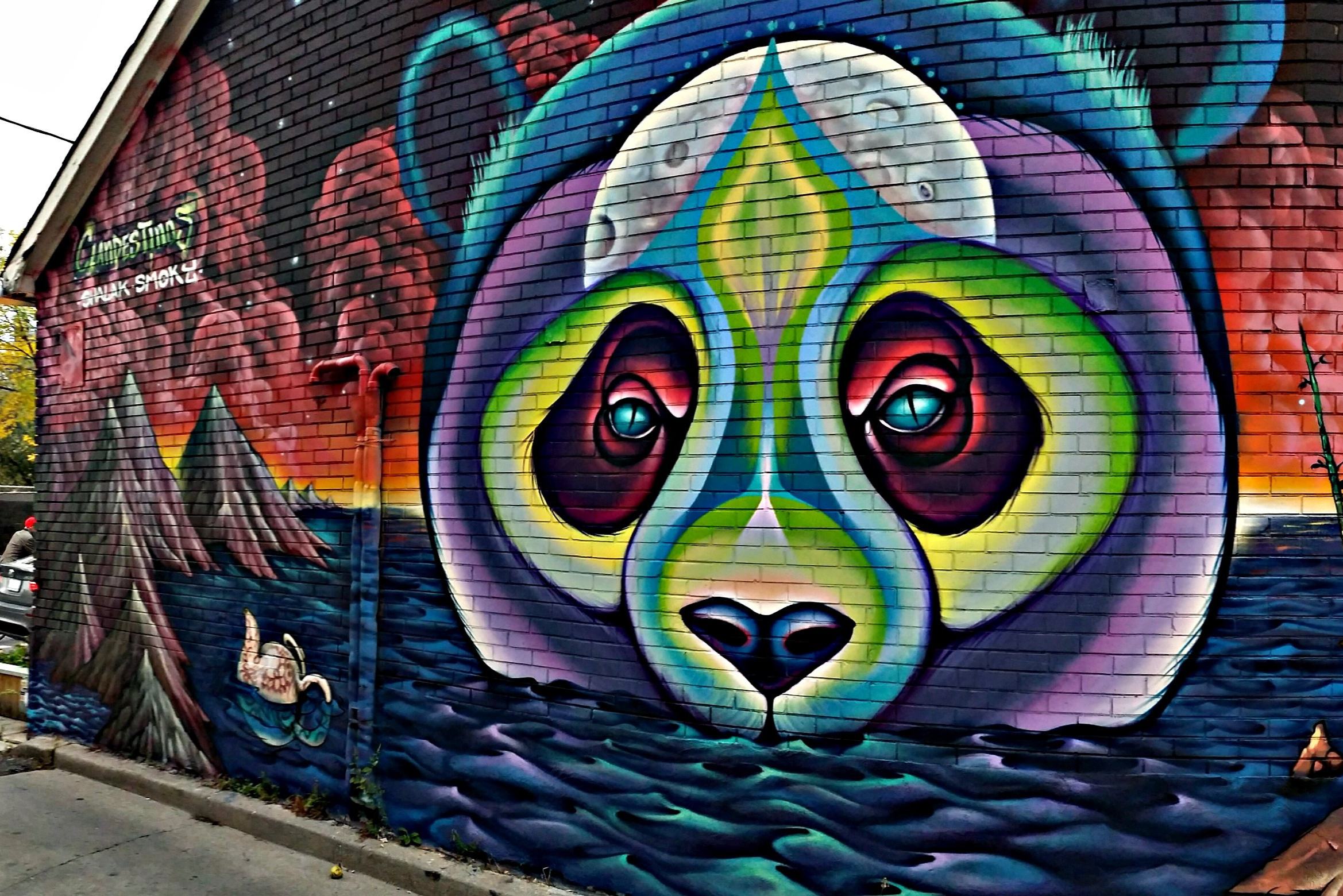 canada-toronto-graffiti-alley-vlakbij-chinatown-2