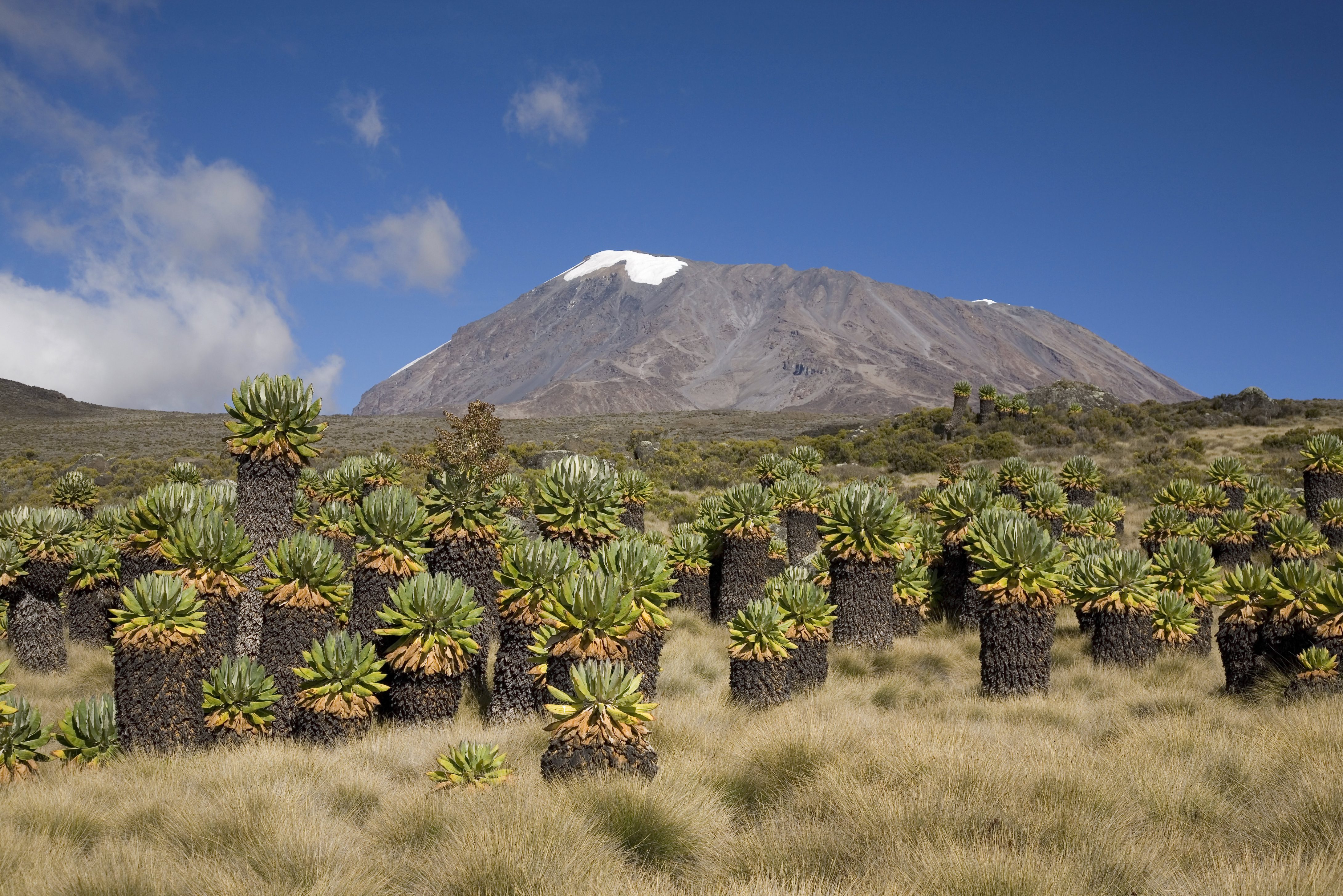 Uhuru Peak van Mount Kilimanjaro in Tanzania