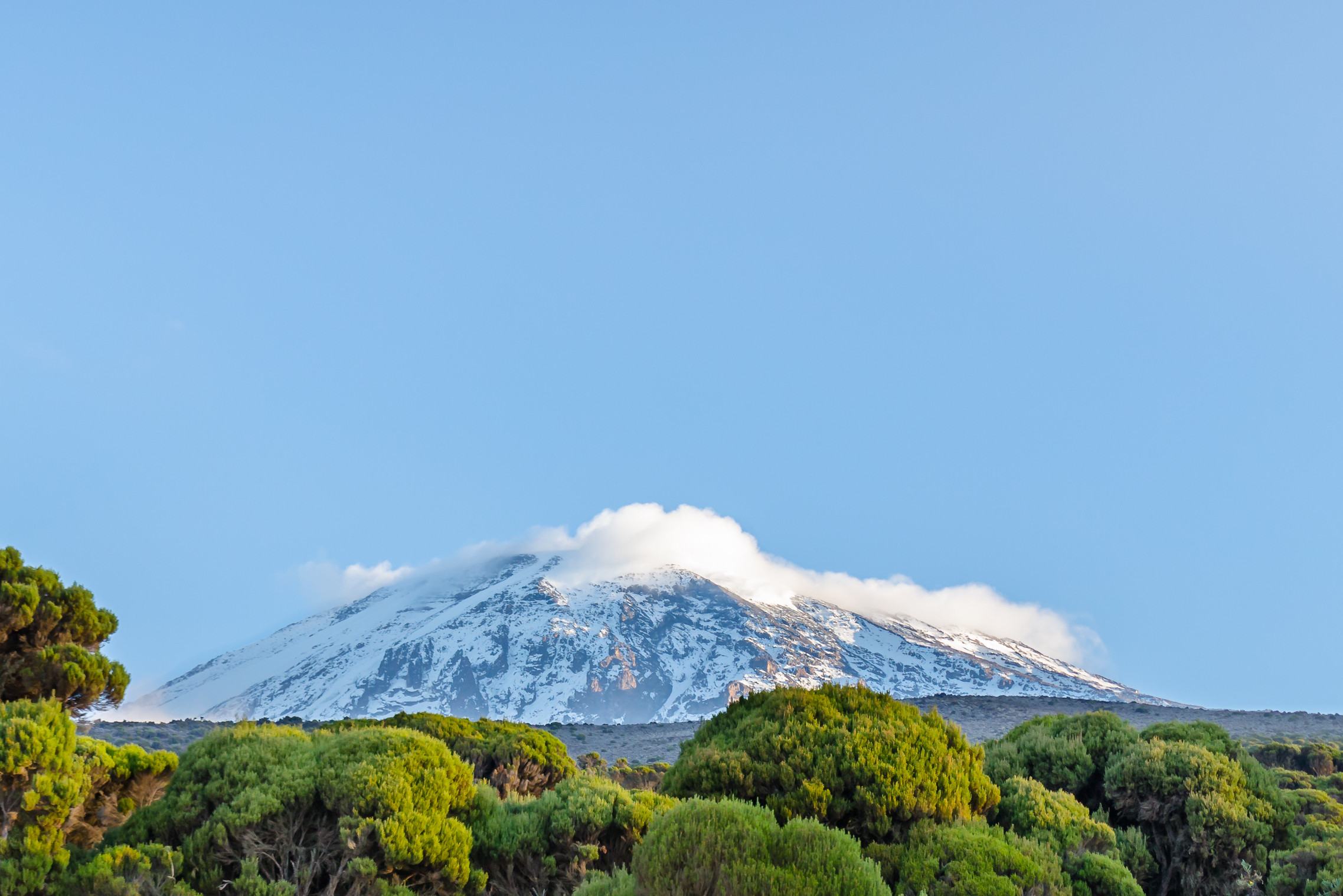 Uitzicht op de Kibo vulkaan vanaf Mount Kilimanjaro National Park in Tanzania