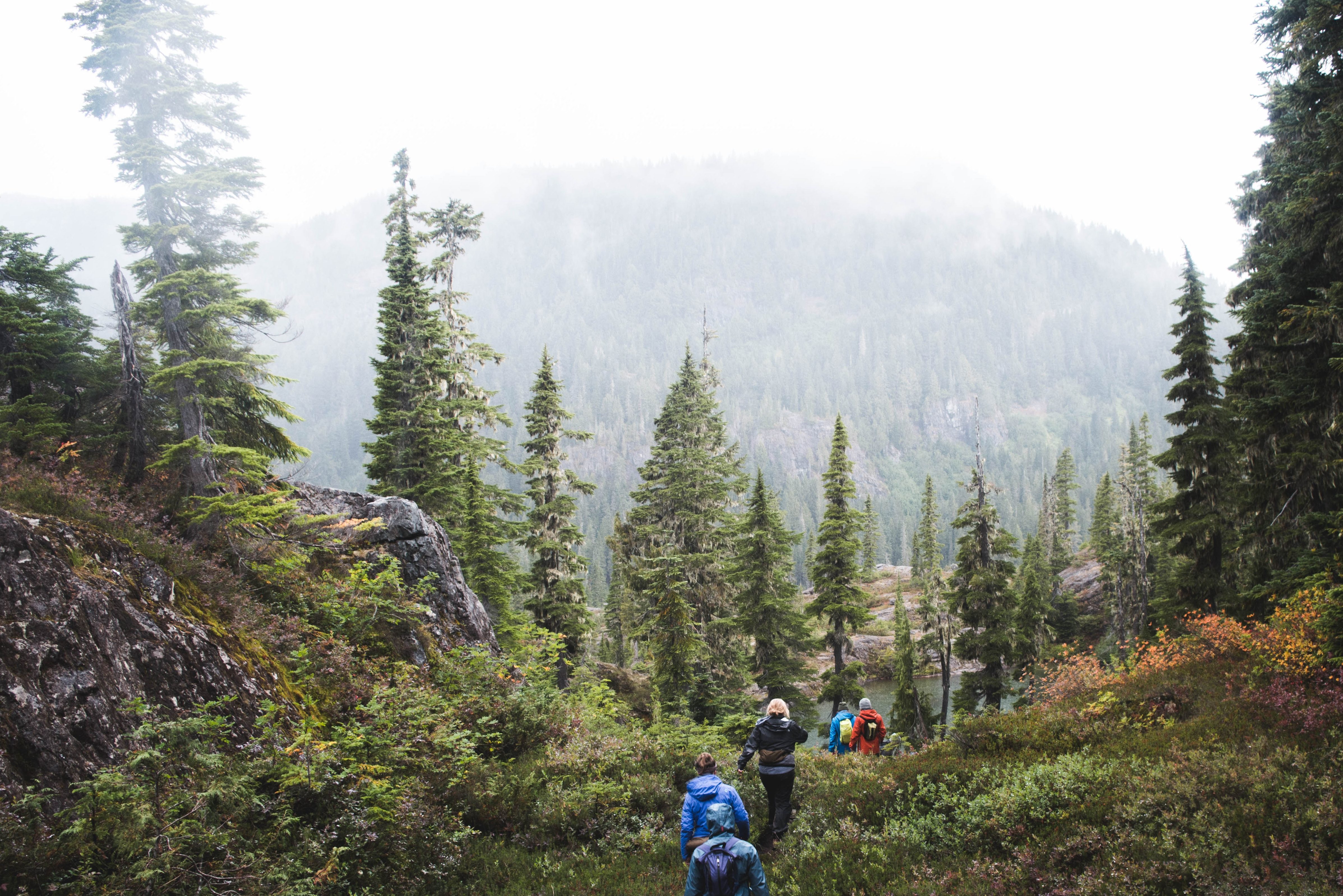 Wandelen in Strathcona Provincial Park op Vancouver Island