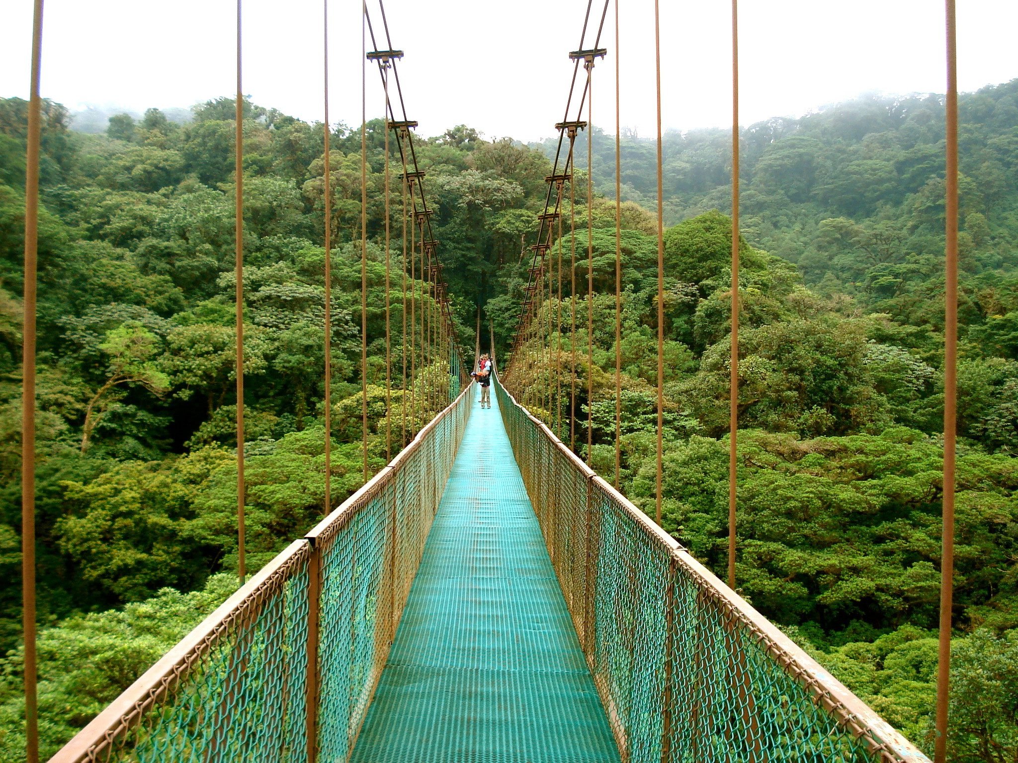 Een hangbrug in Monteverde, Costa Rica