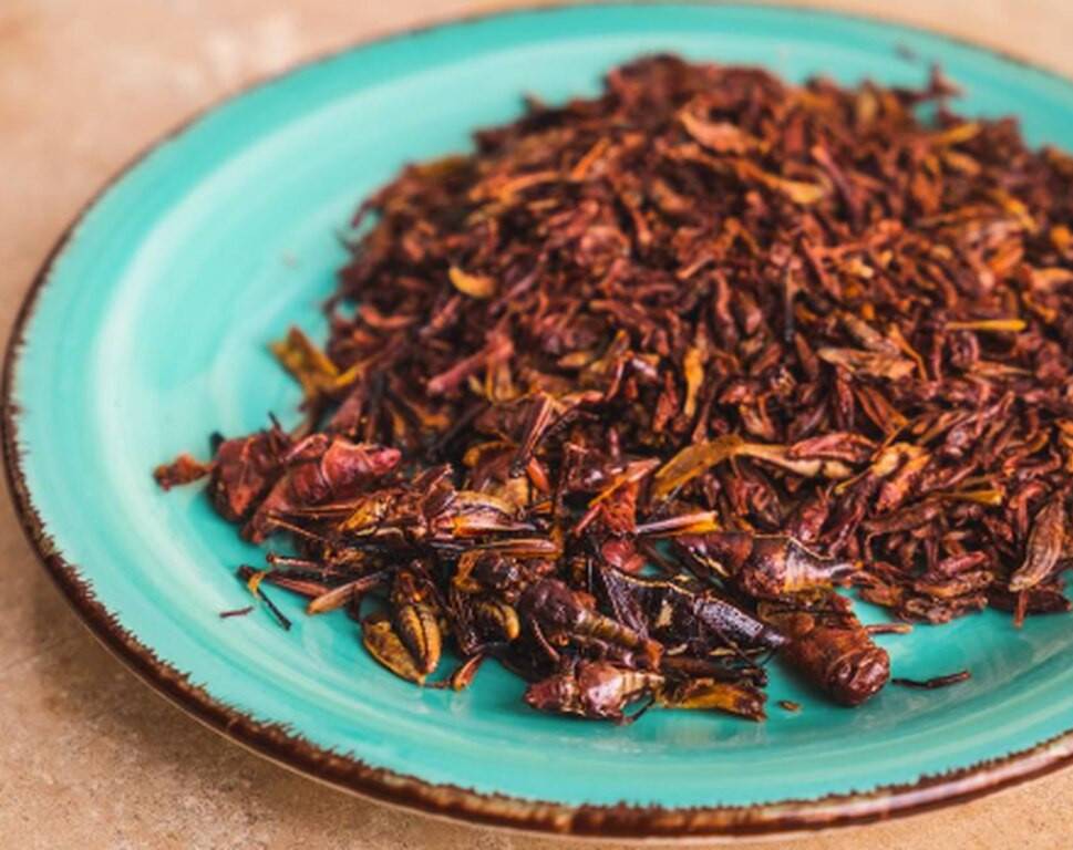 Mexicaanse sprinkhanen, chapulines