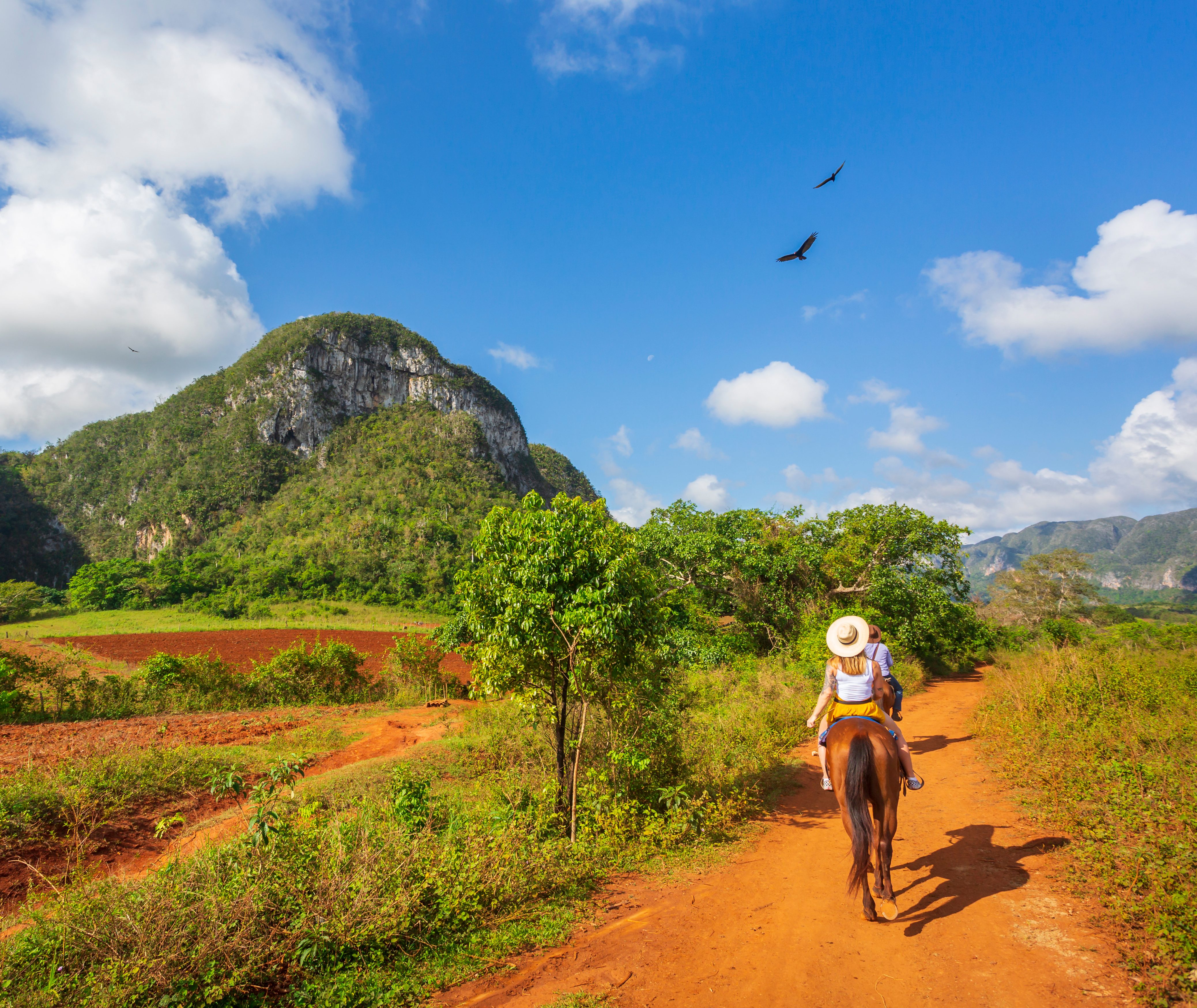 Paardrijden in Vinales, Cuba