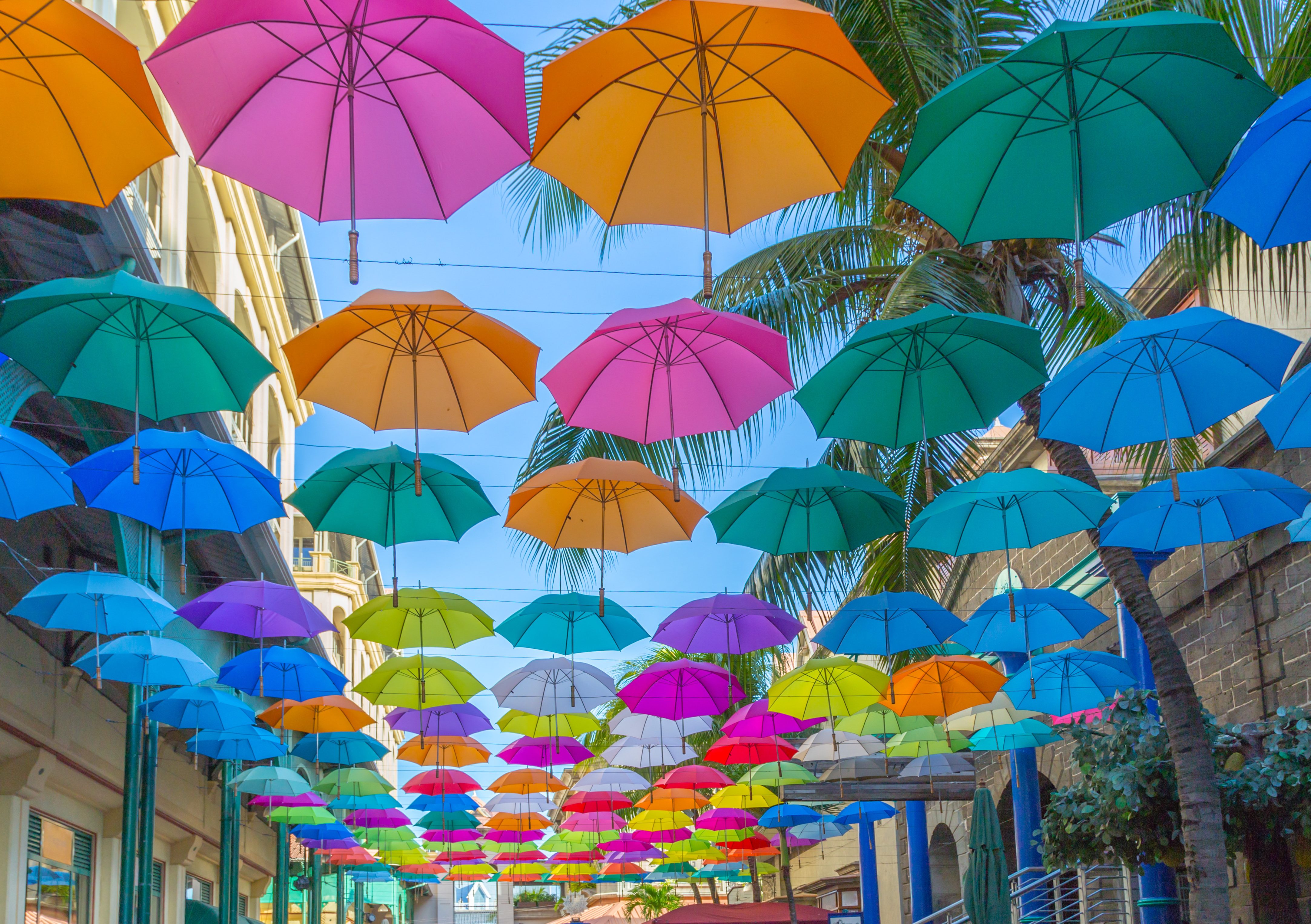 De felgekleurde paraplu's in Port Louis, Mauritius