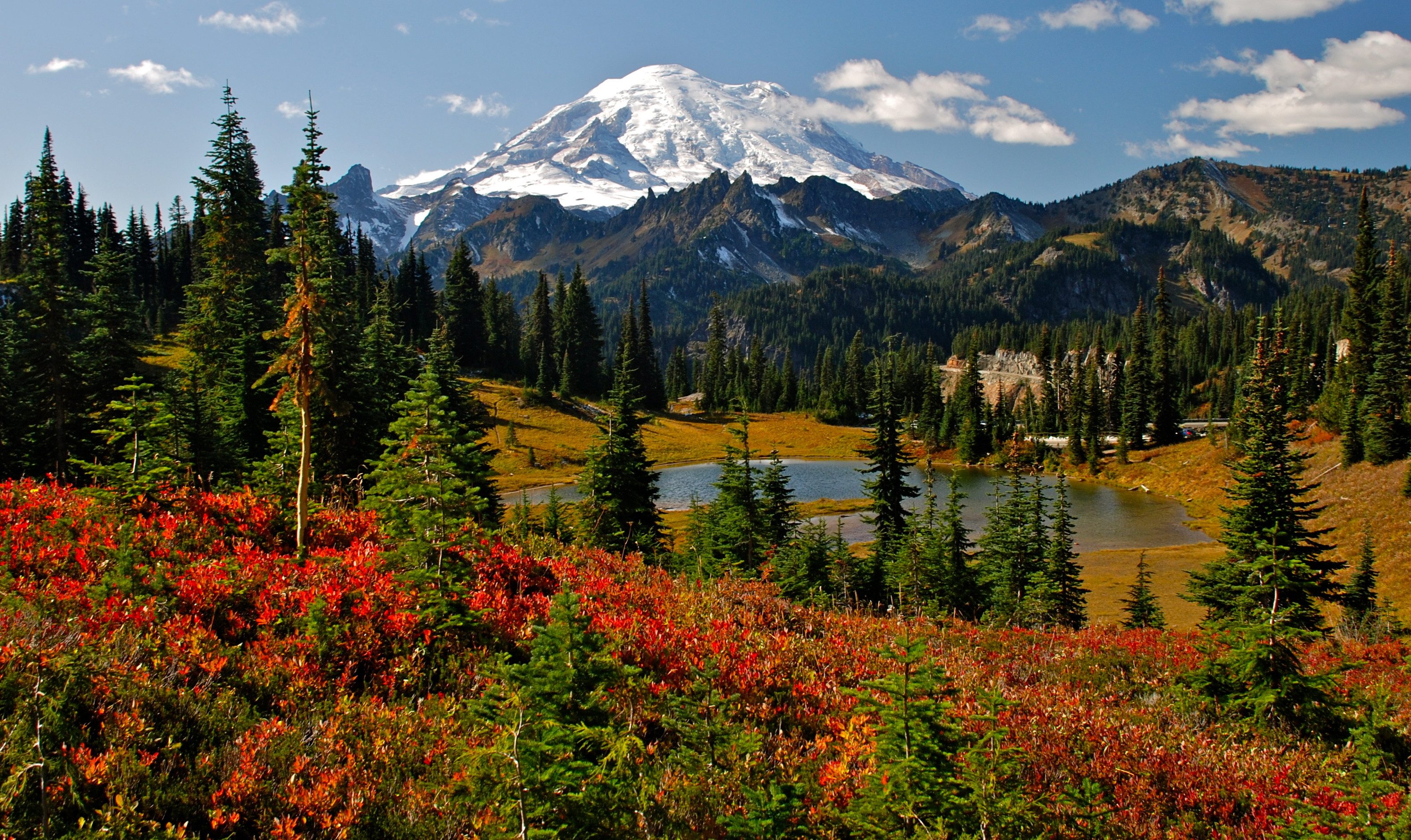 Landschap in Amerika