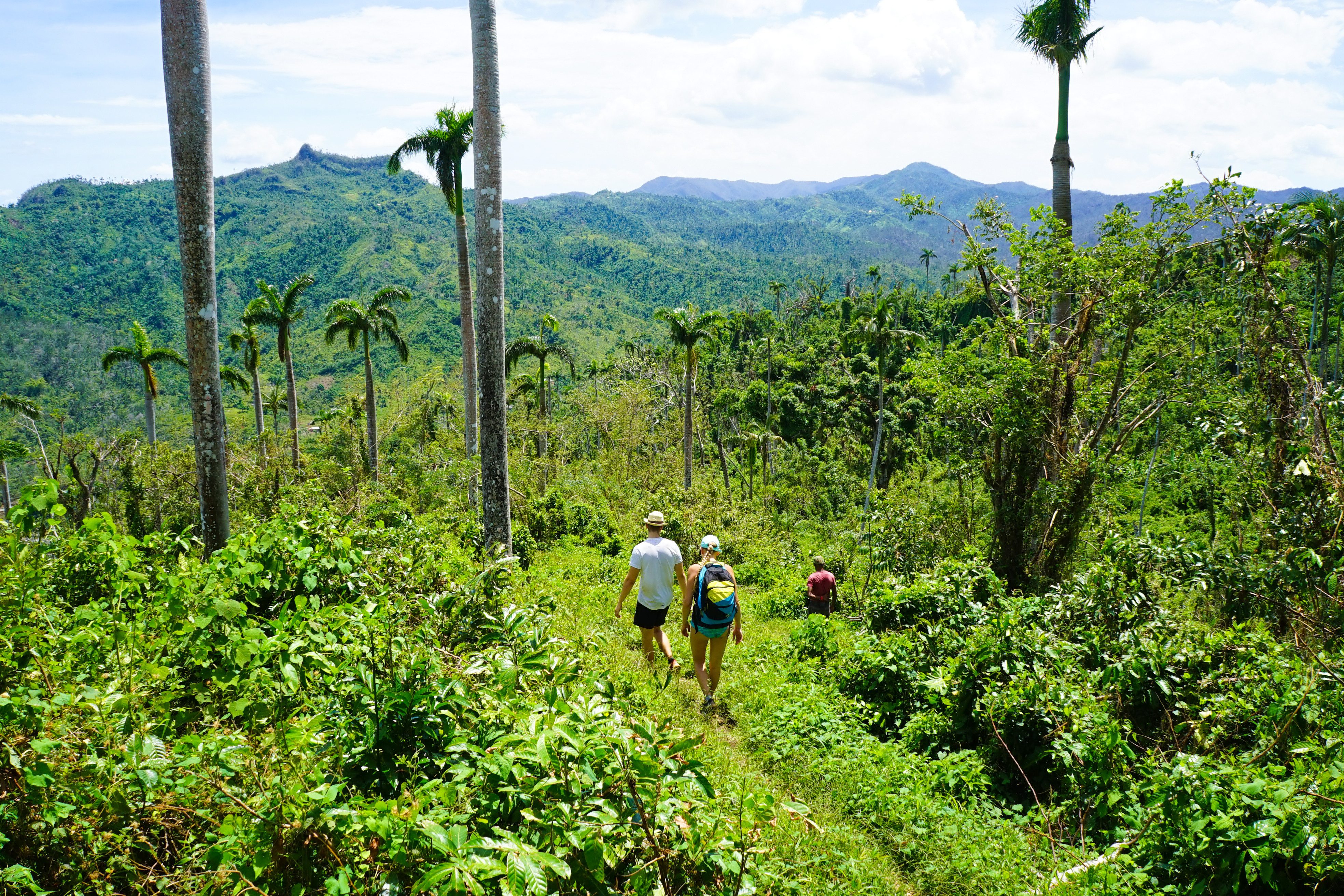 Wandelen in de groene omgeving van Baracoa, Cuba