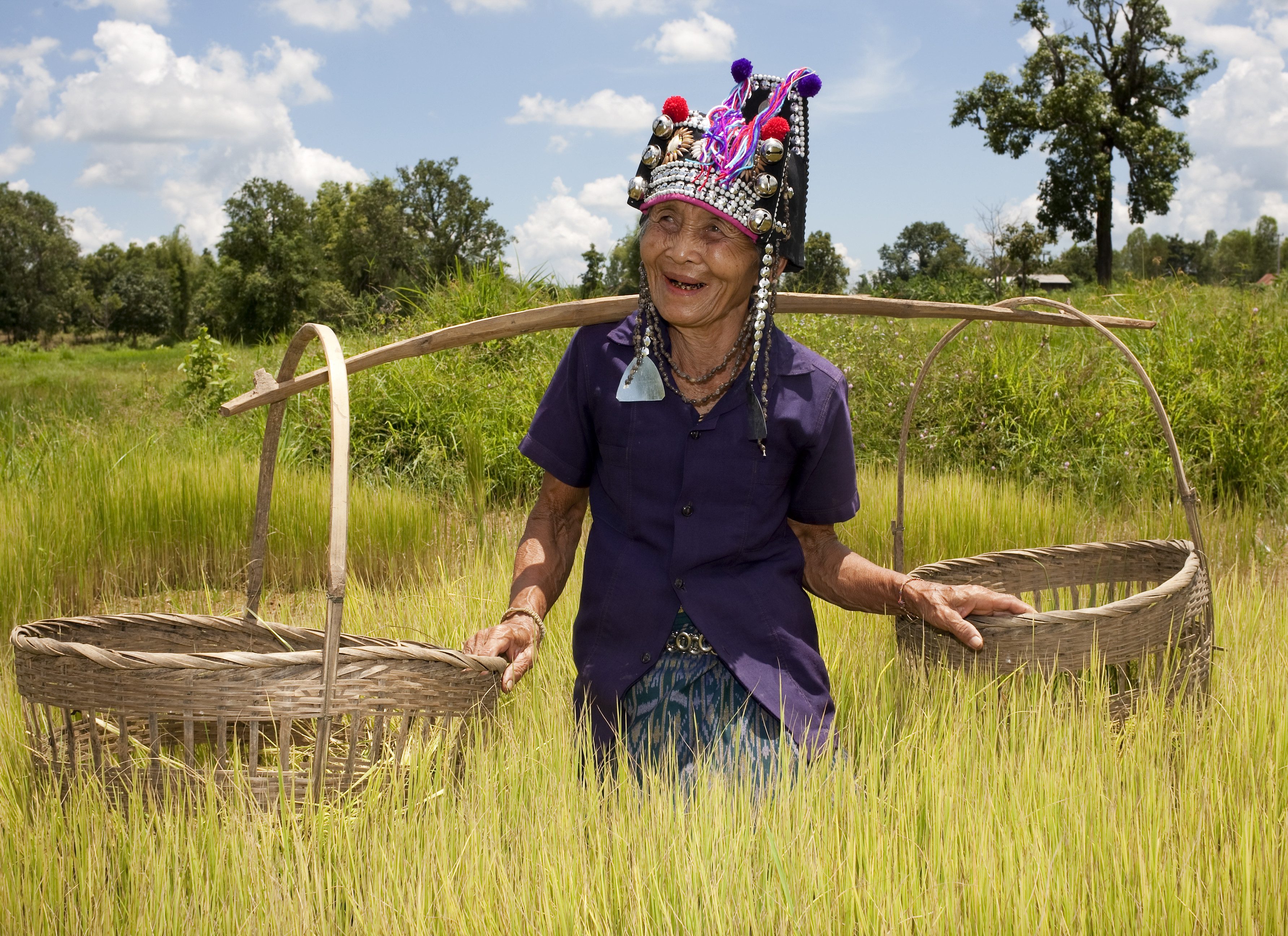 Een vriendelijke vrouw van de Akha-stam aan het werk in de rijstvelden van Noord-Thailand