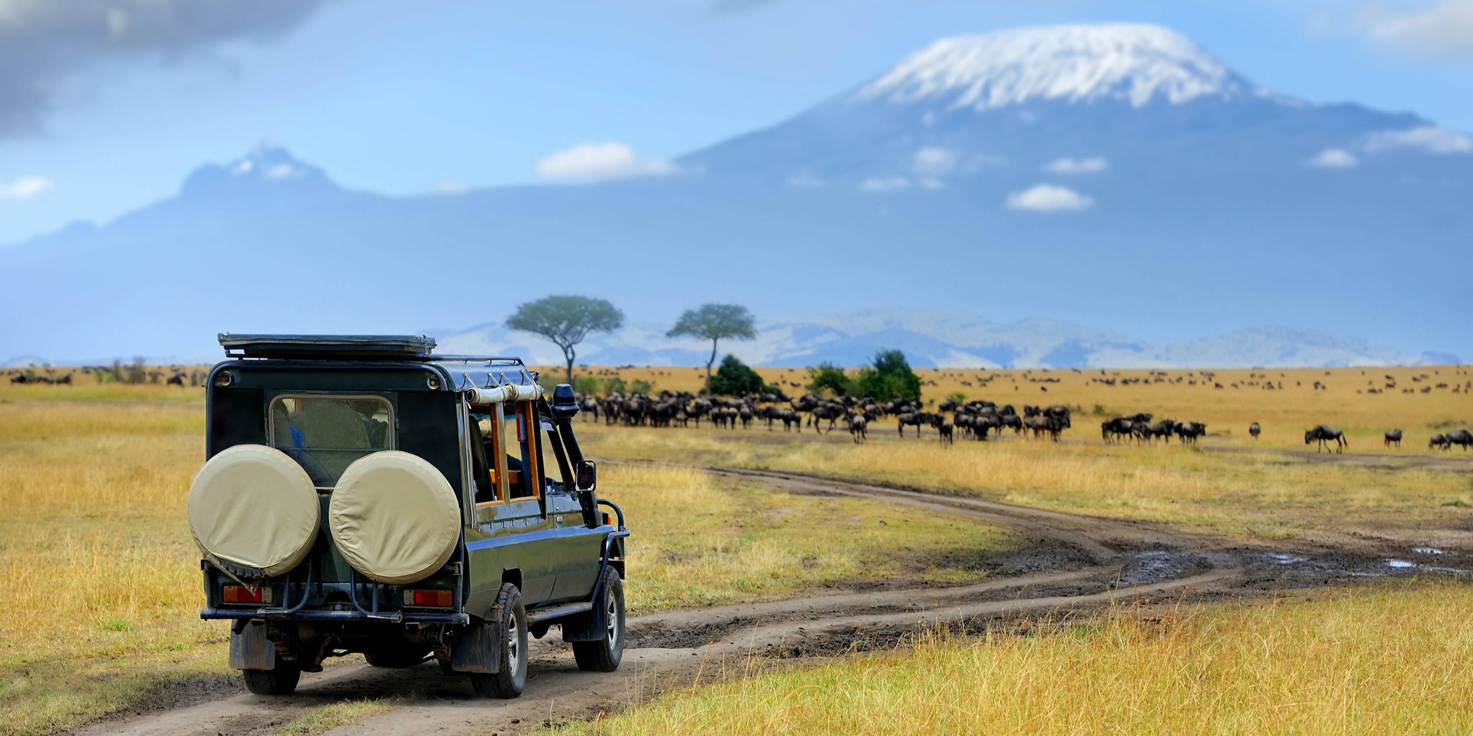 Op jeepsafari in Amboseli National Park. Kenia
