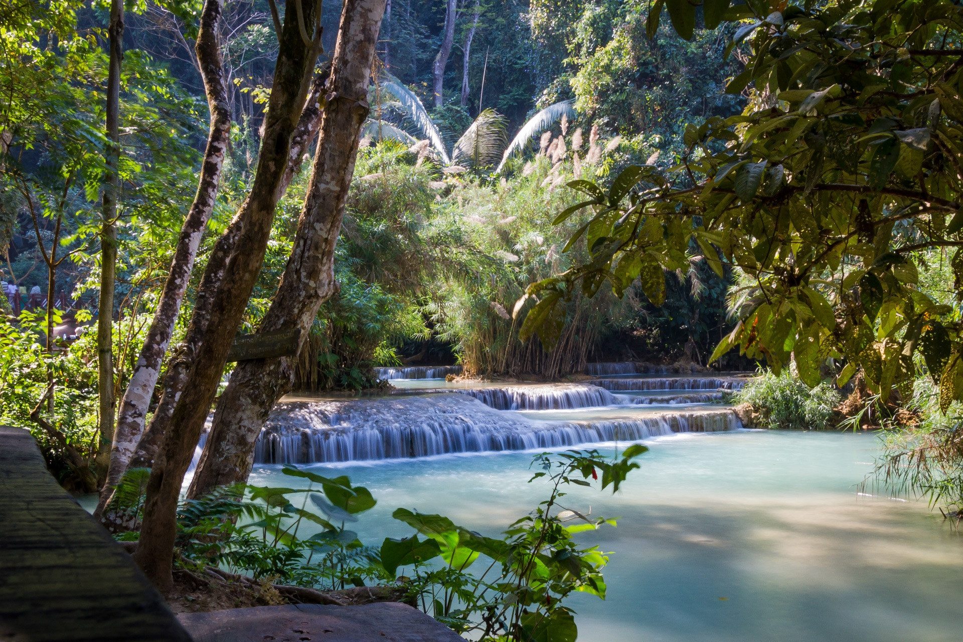 De Kuang Si watervallen in de omgeving van Luang Prabang, Laos
