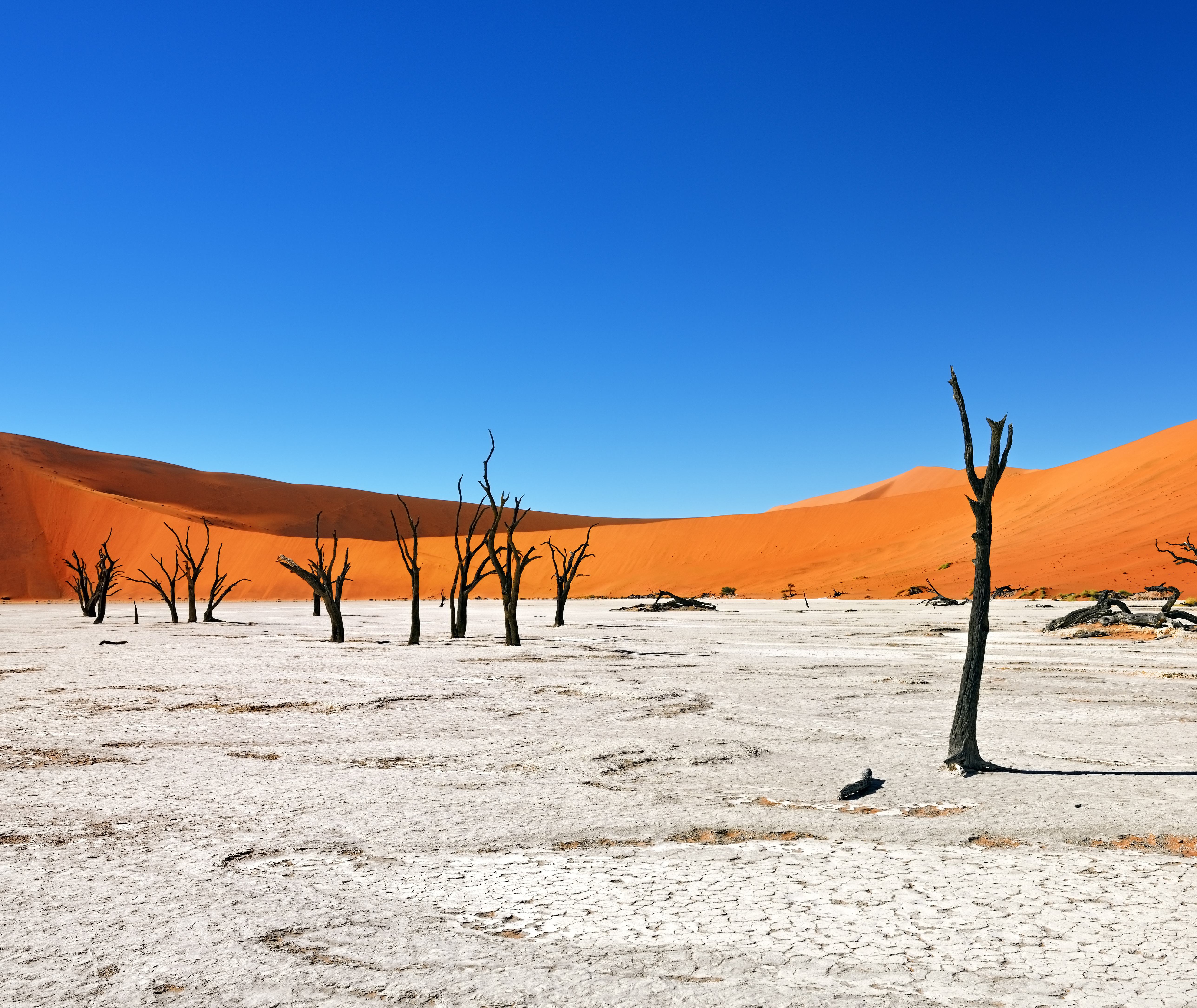 De woestijn van Namibie, Sossusvlei