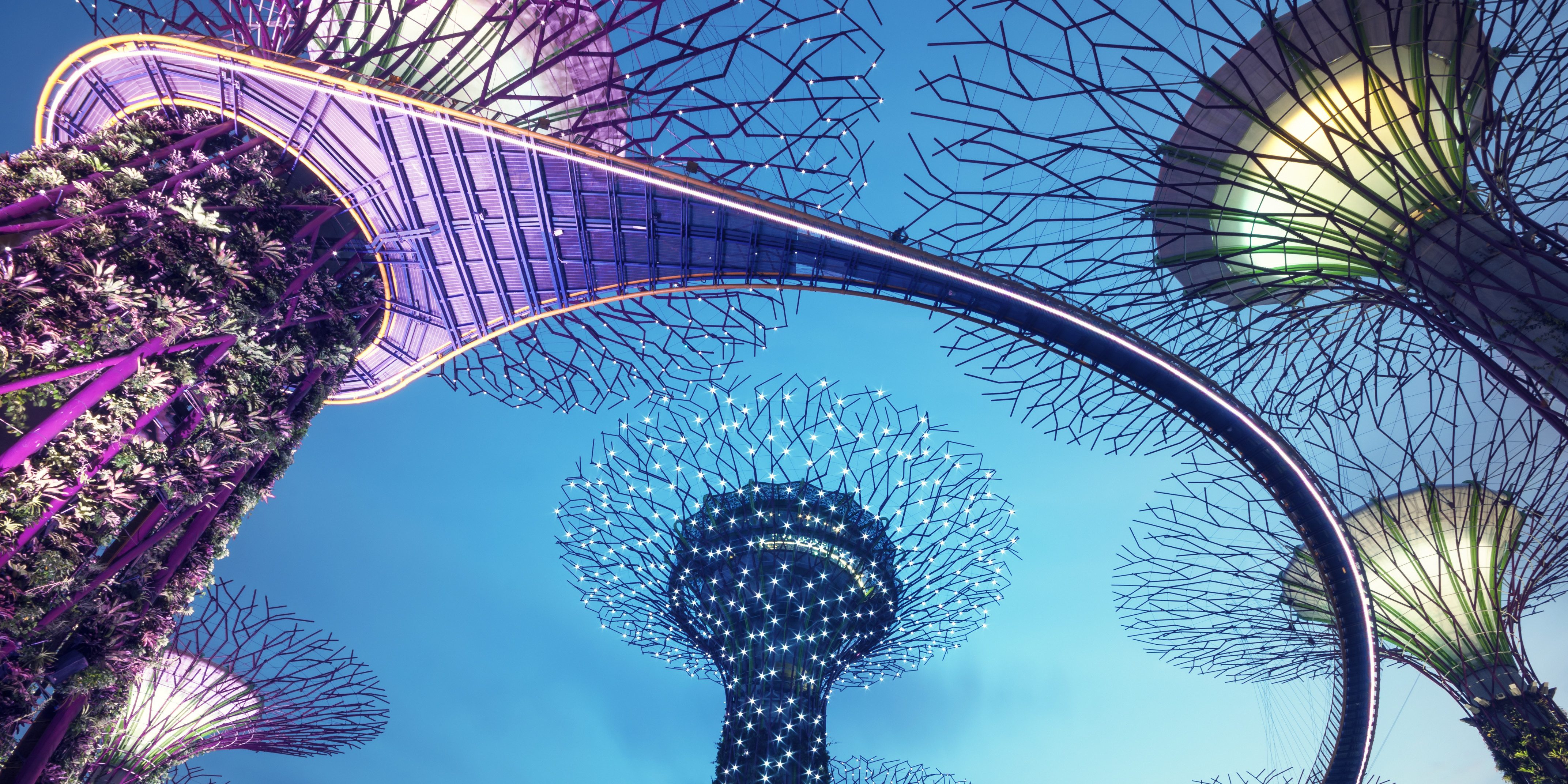 Wandel tussen de superbomen van Gardens by the Bay in Singapore