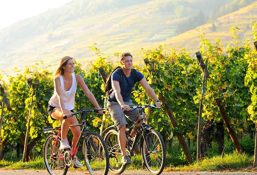 Wine and Bike tour in Mendoza