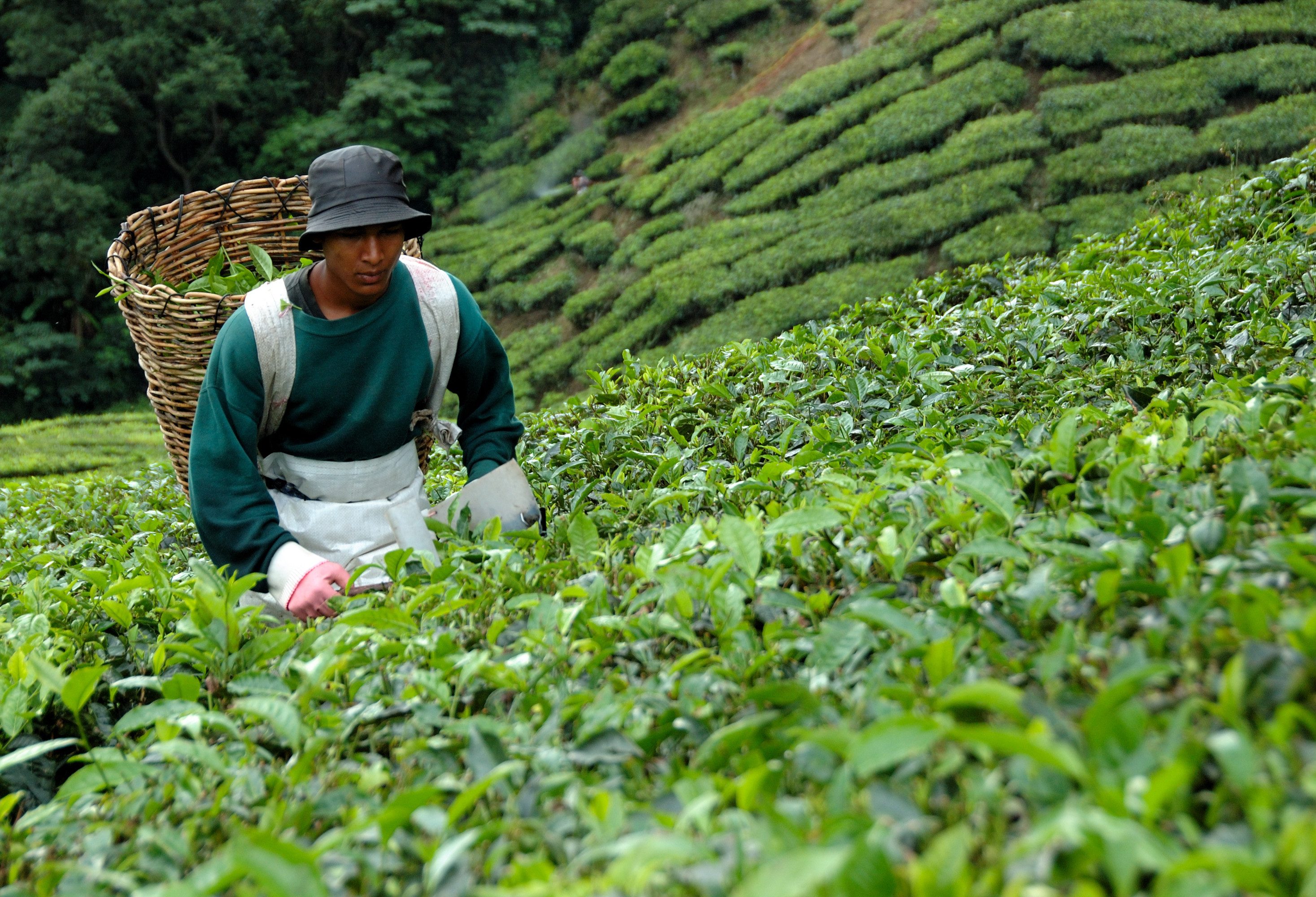 Bandung op Java Indonesië